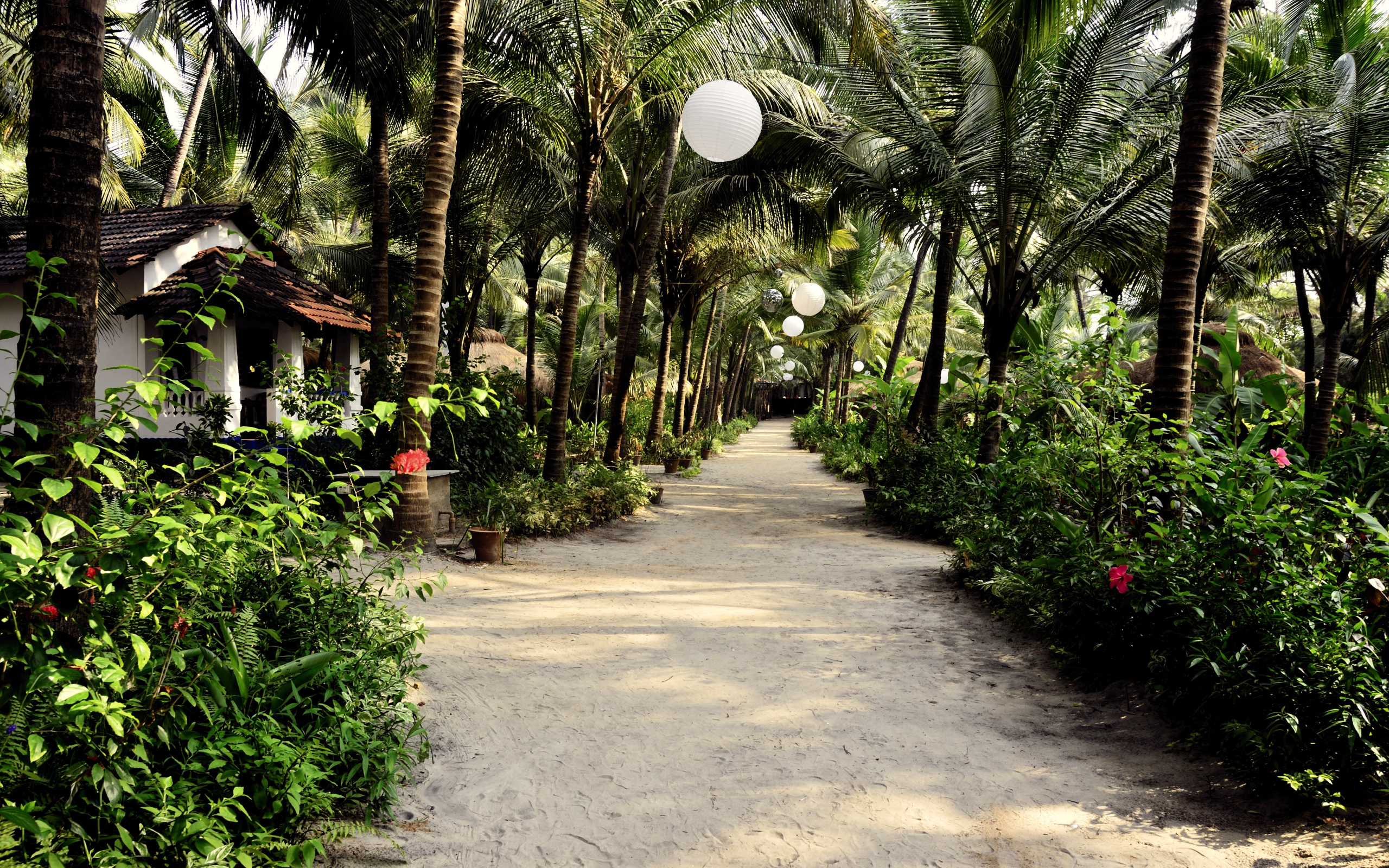 Прогулка по улицам Ашвема