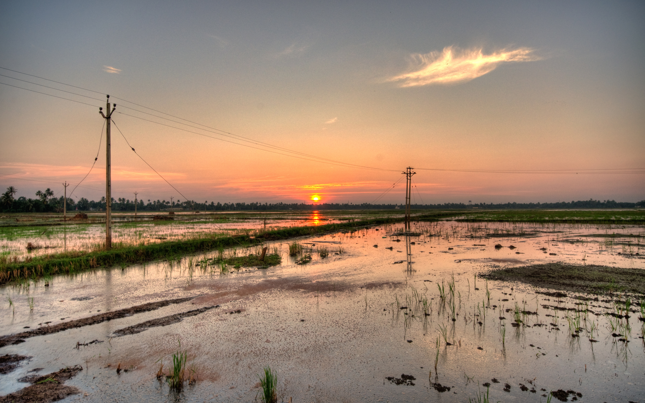 Водная местность в Алапуже
