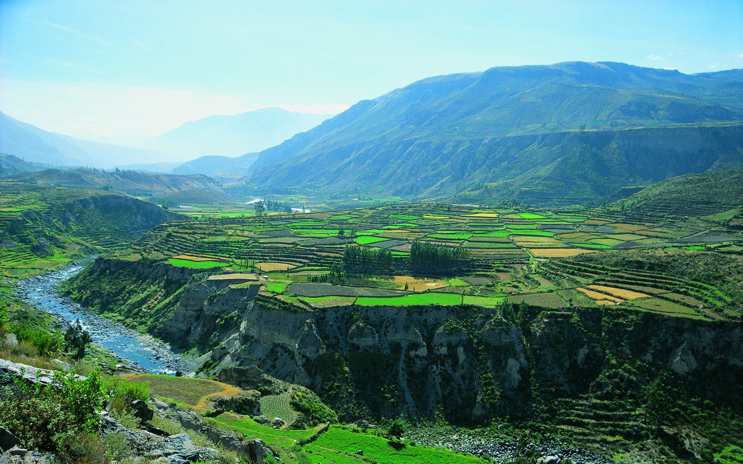 The nature of Peru