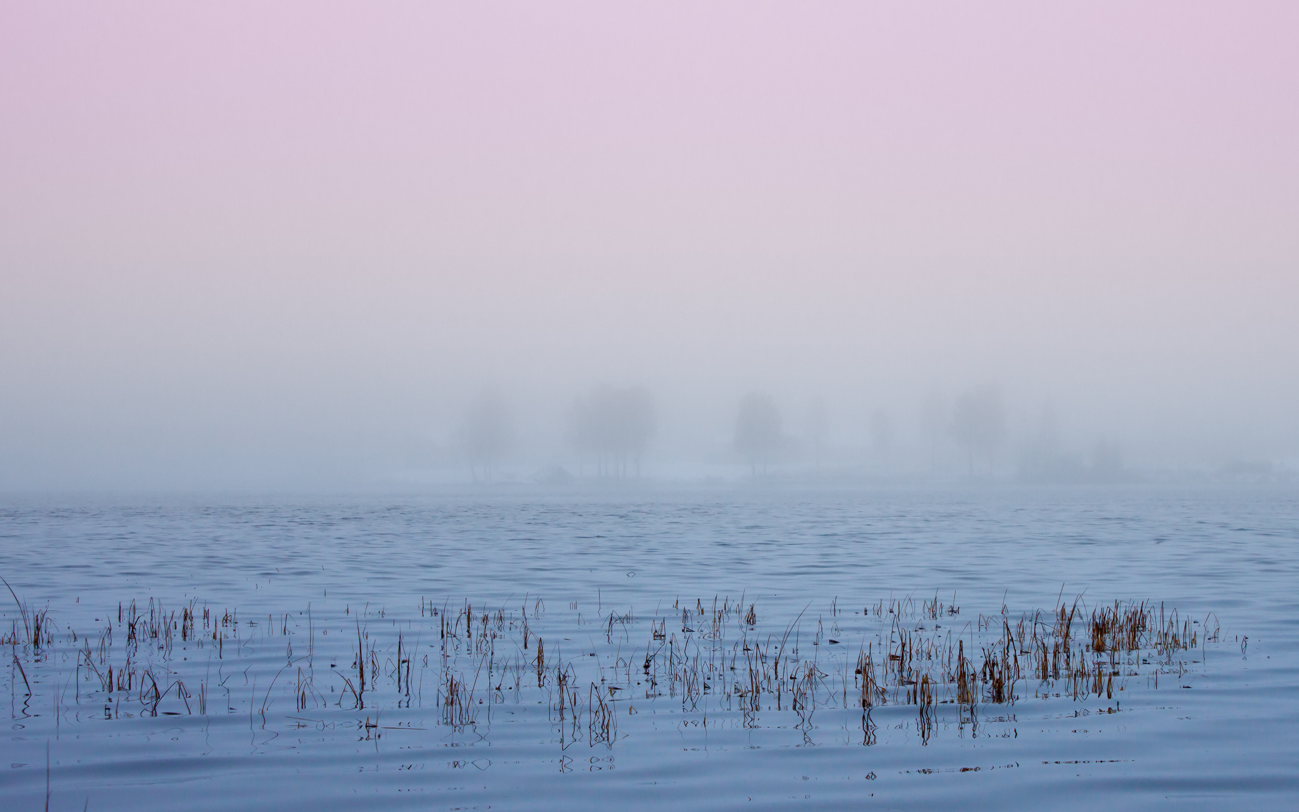 Туман в Швеции