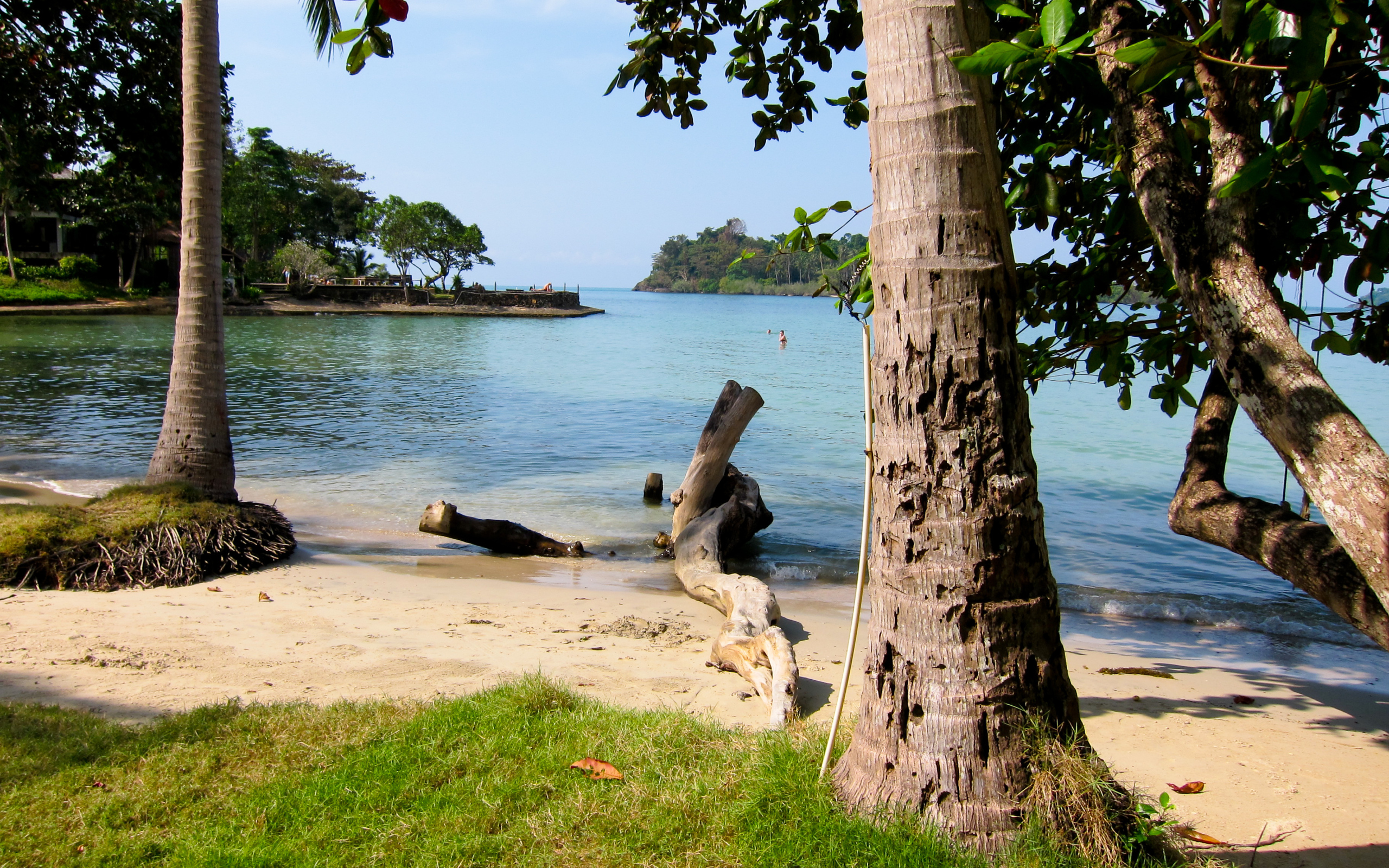 Деревья на пляже на курорте Районг, Таиланд