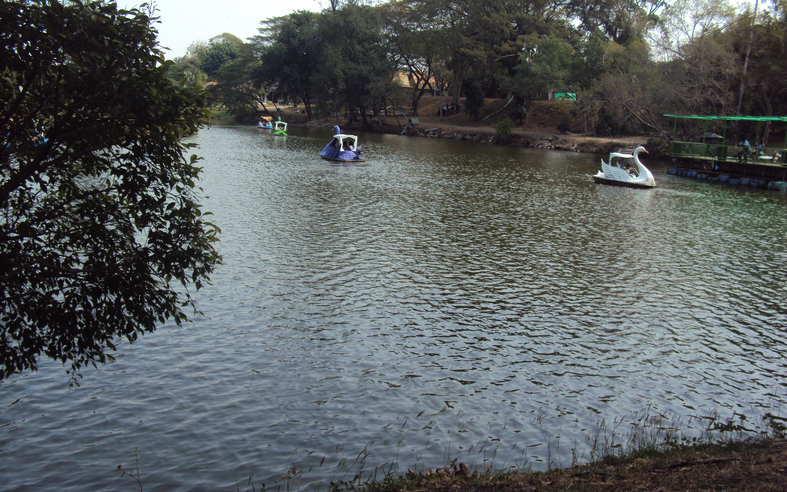 Зоопарк на курорте Лопбури, Таиланд