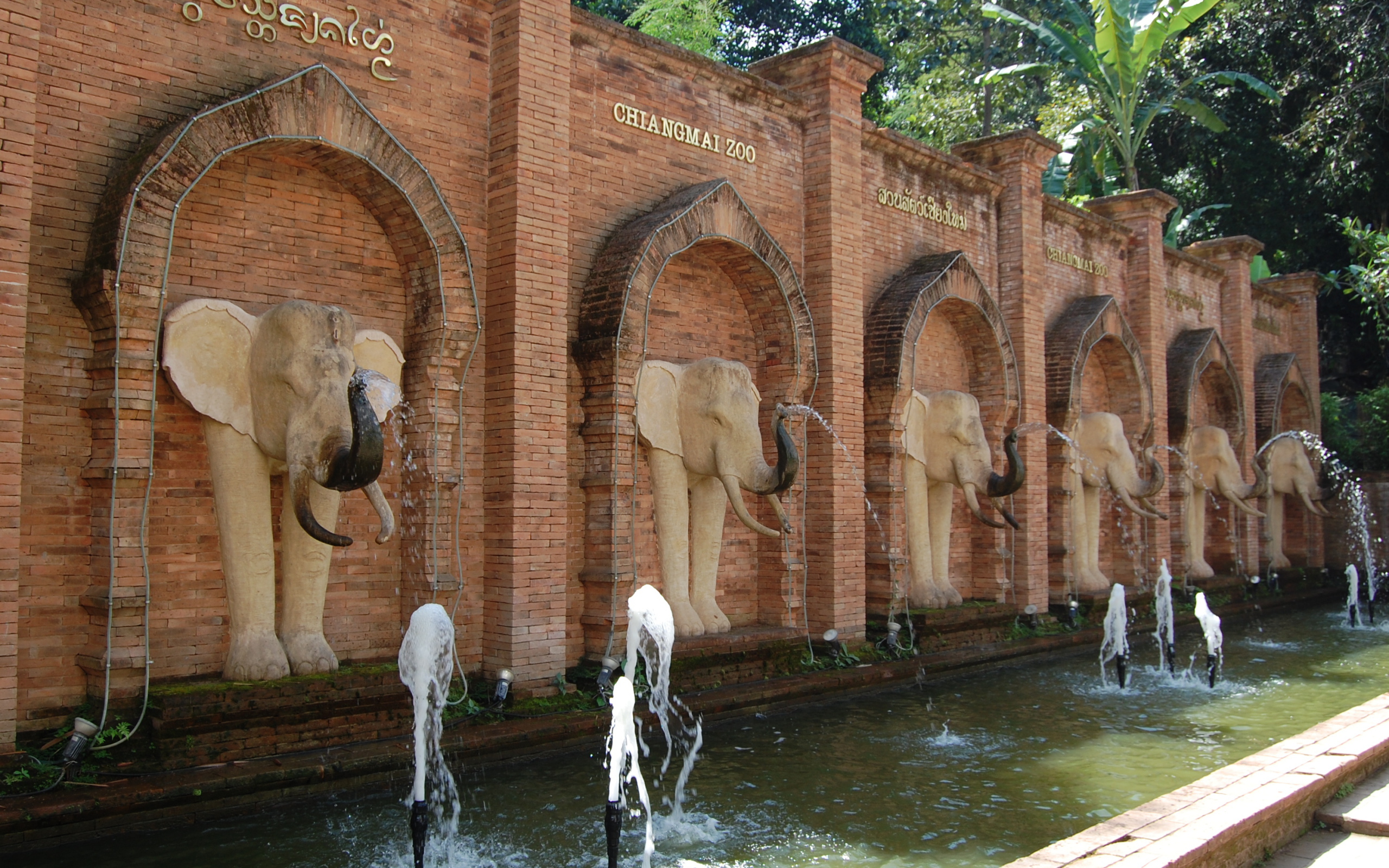 Зоопарк на курорте Чианг Май, Таиланд