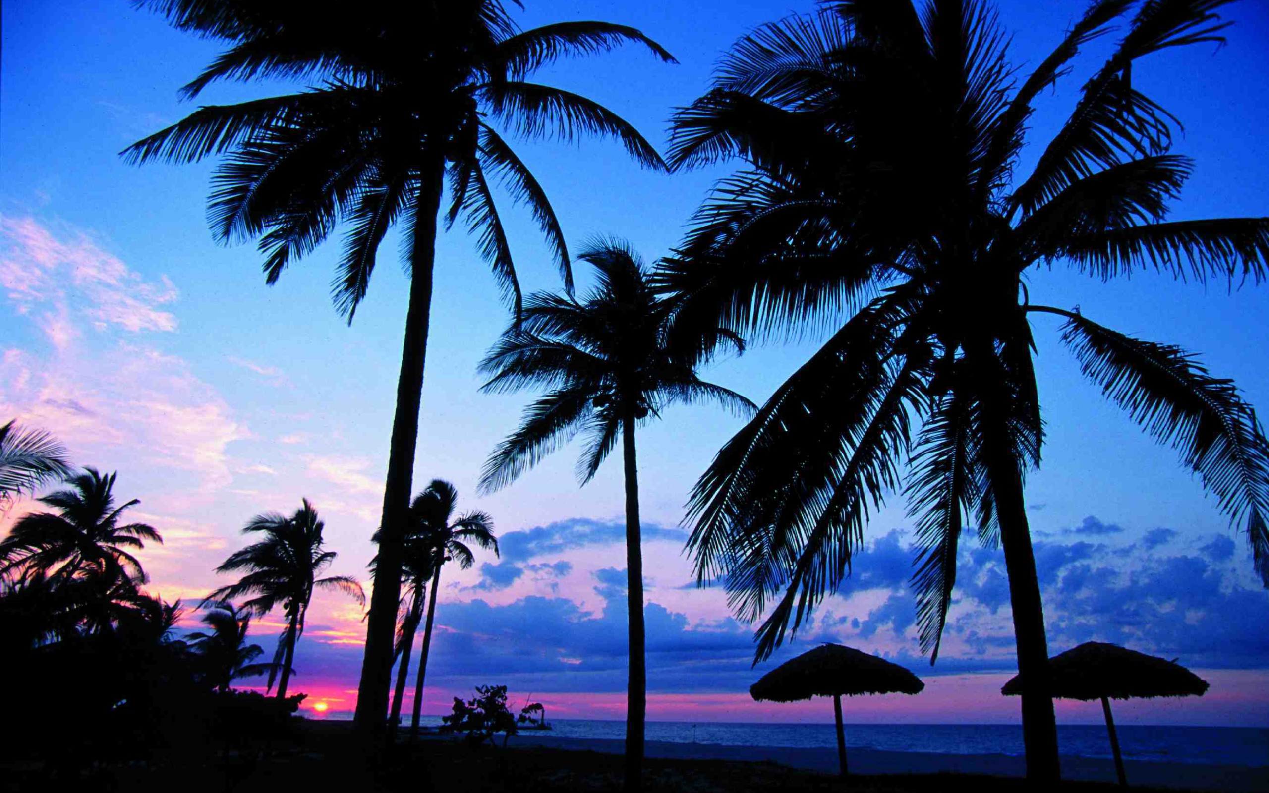 Пальмы на фоне заката на курорте Гуардалавака, Куба