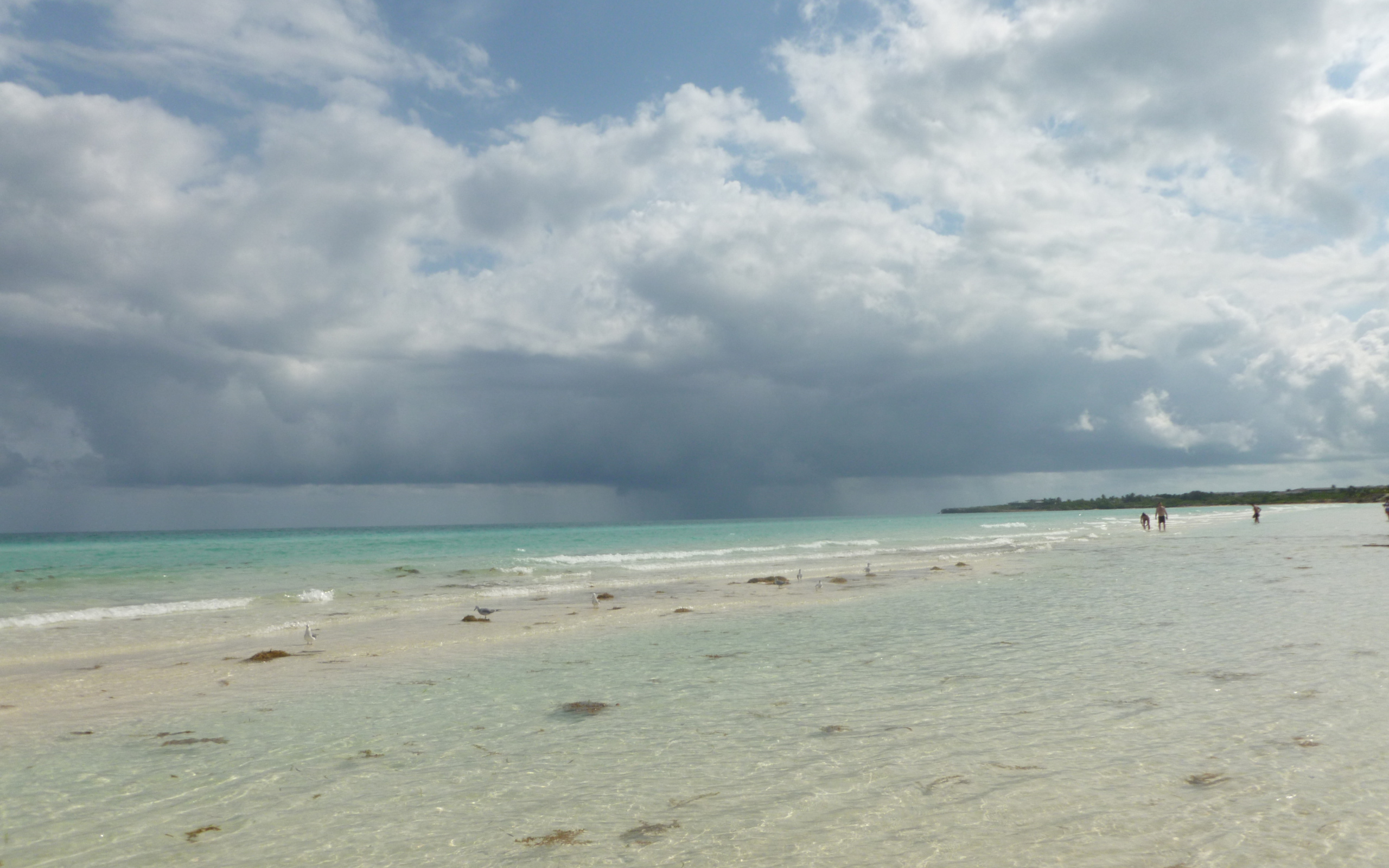 Зимний отдых на курорте Кайо Коко, Куба