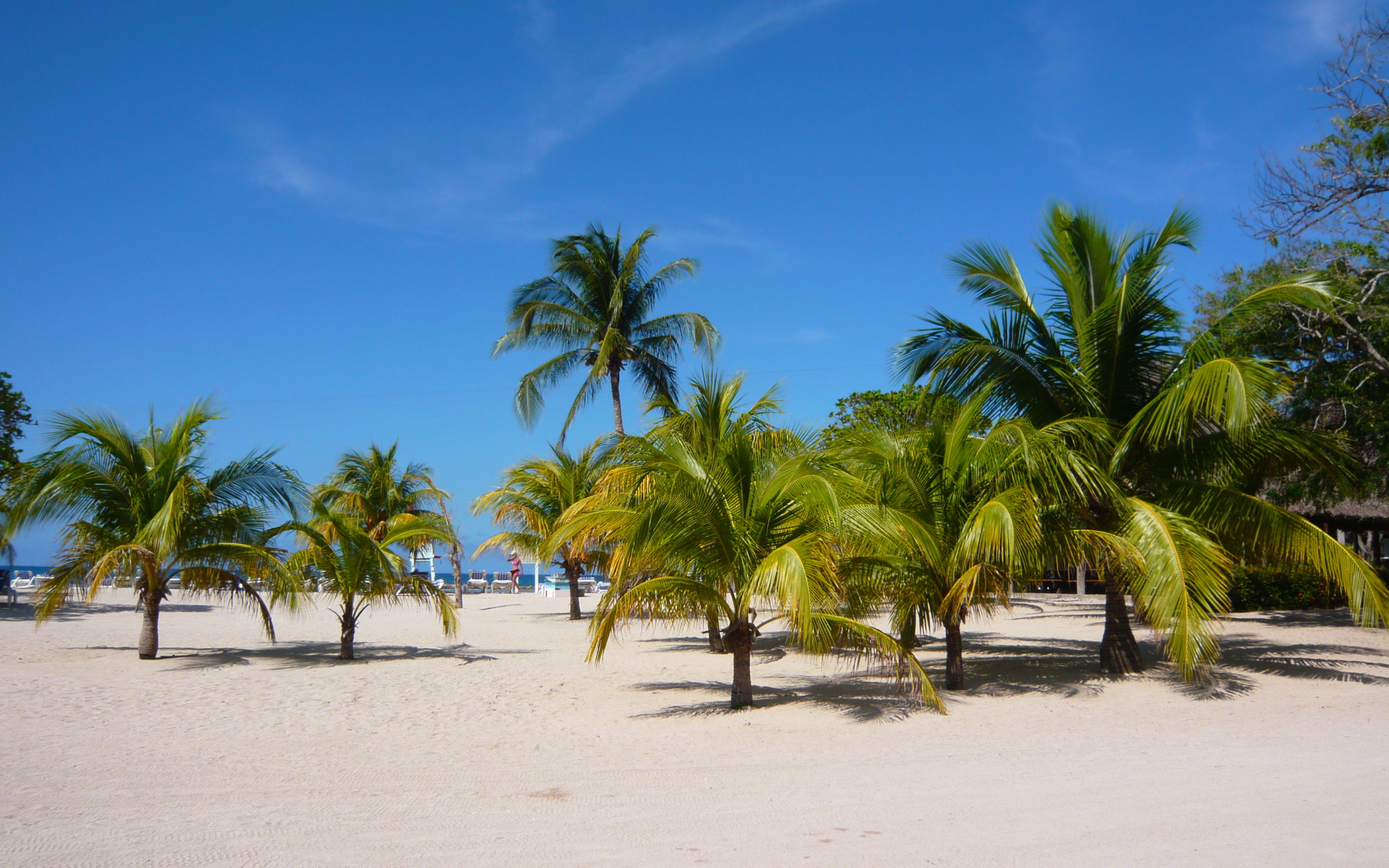 Замечательное место в Гаити