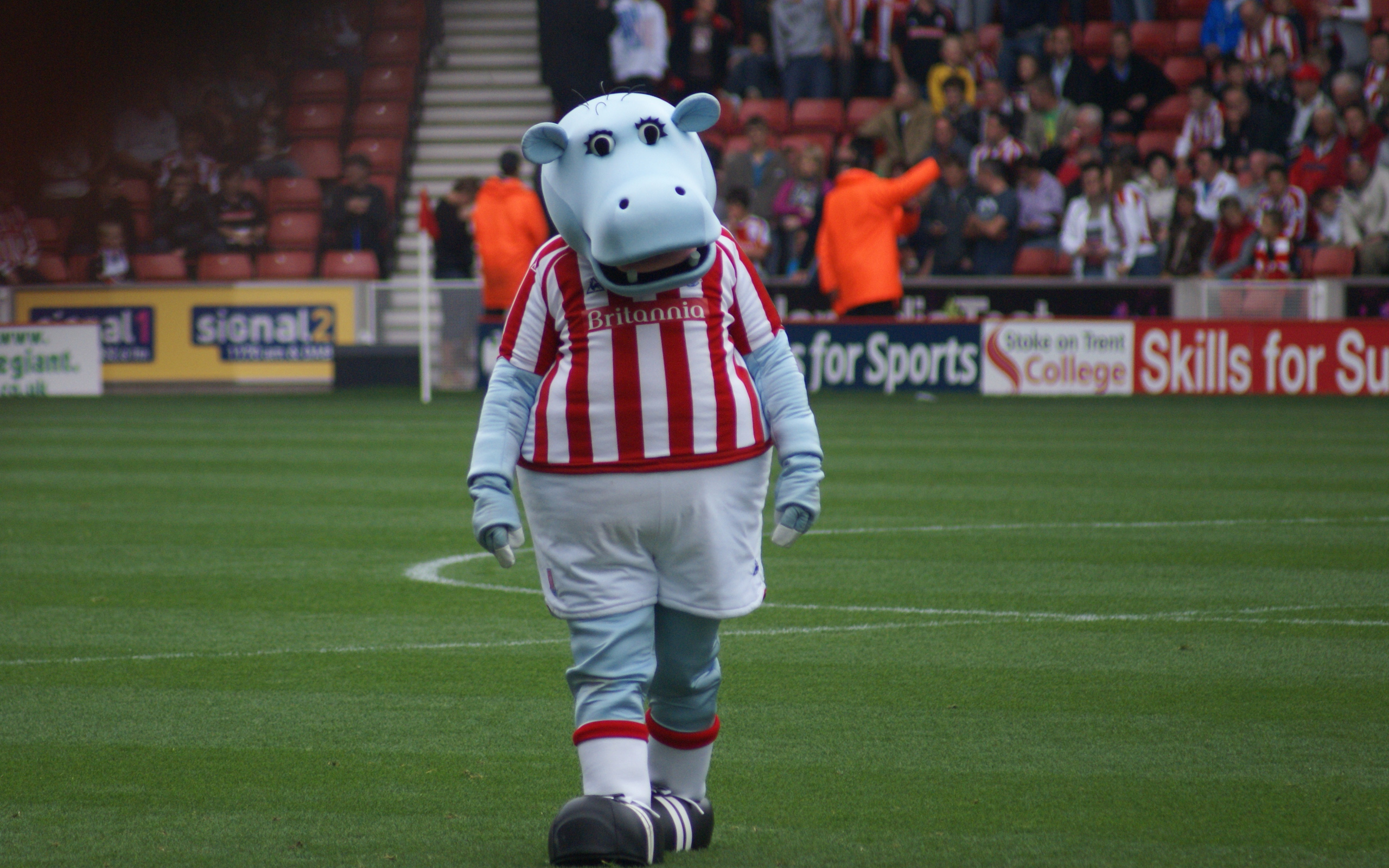 Известный ФК Сток Сити