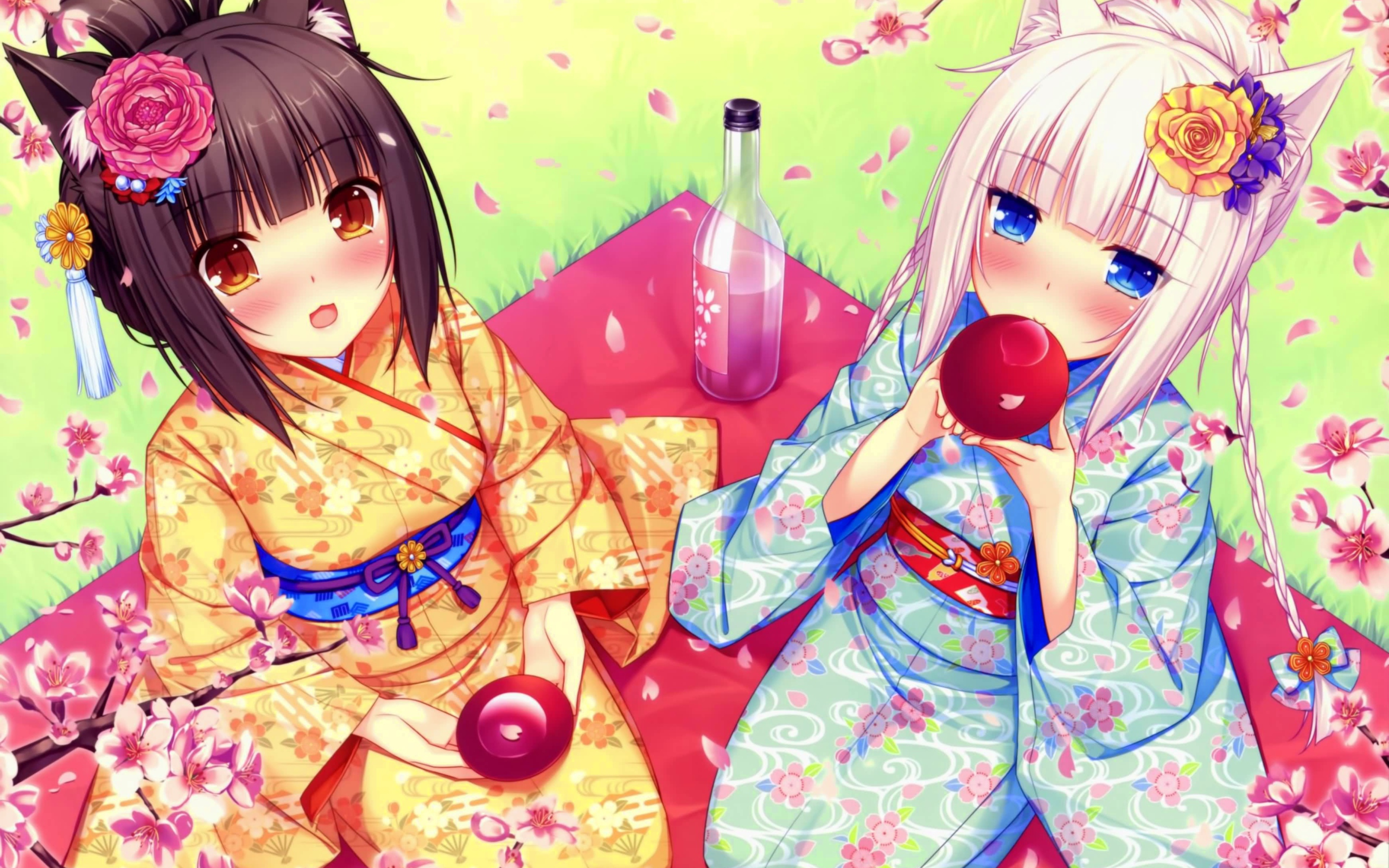 Аниме девушки на пикнике, Neko Para