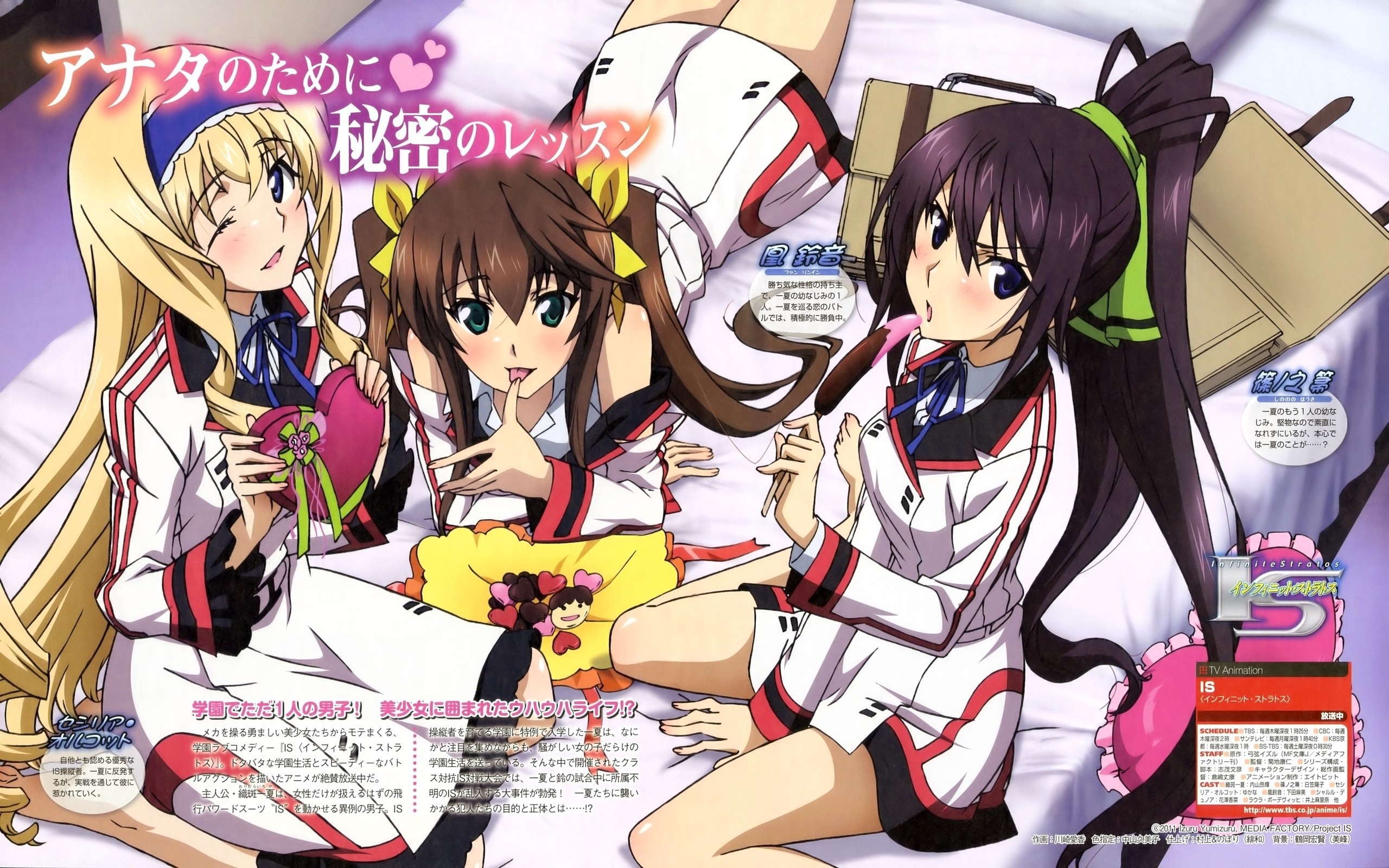 Манга аниме Infinite Stratos