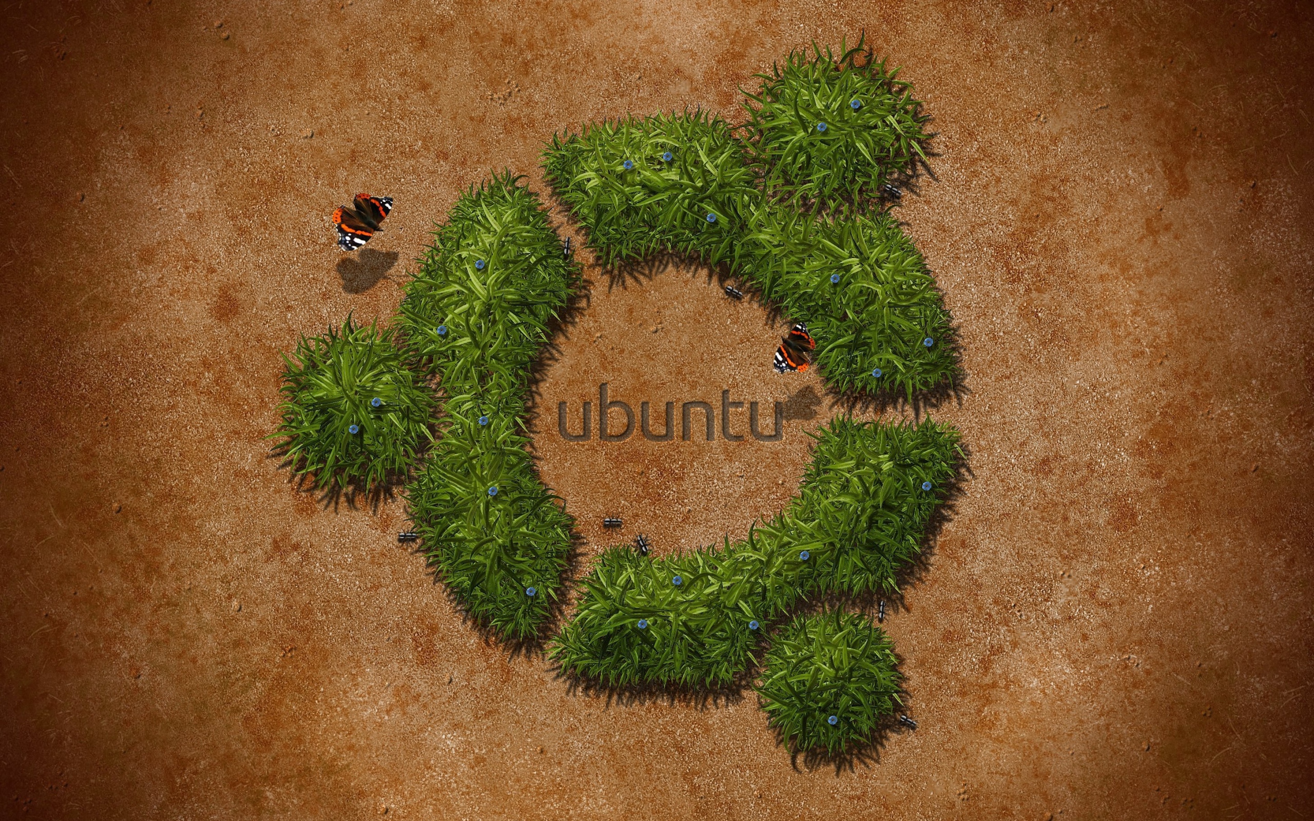 Трава в пустыне, фон Ubuntu