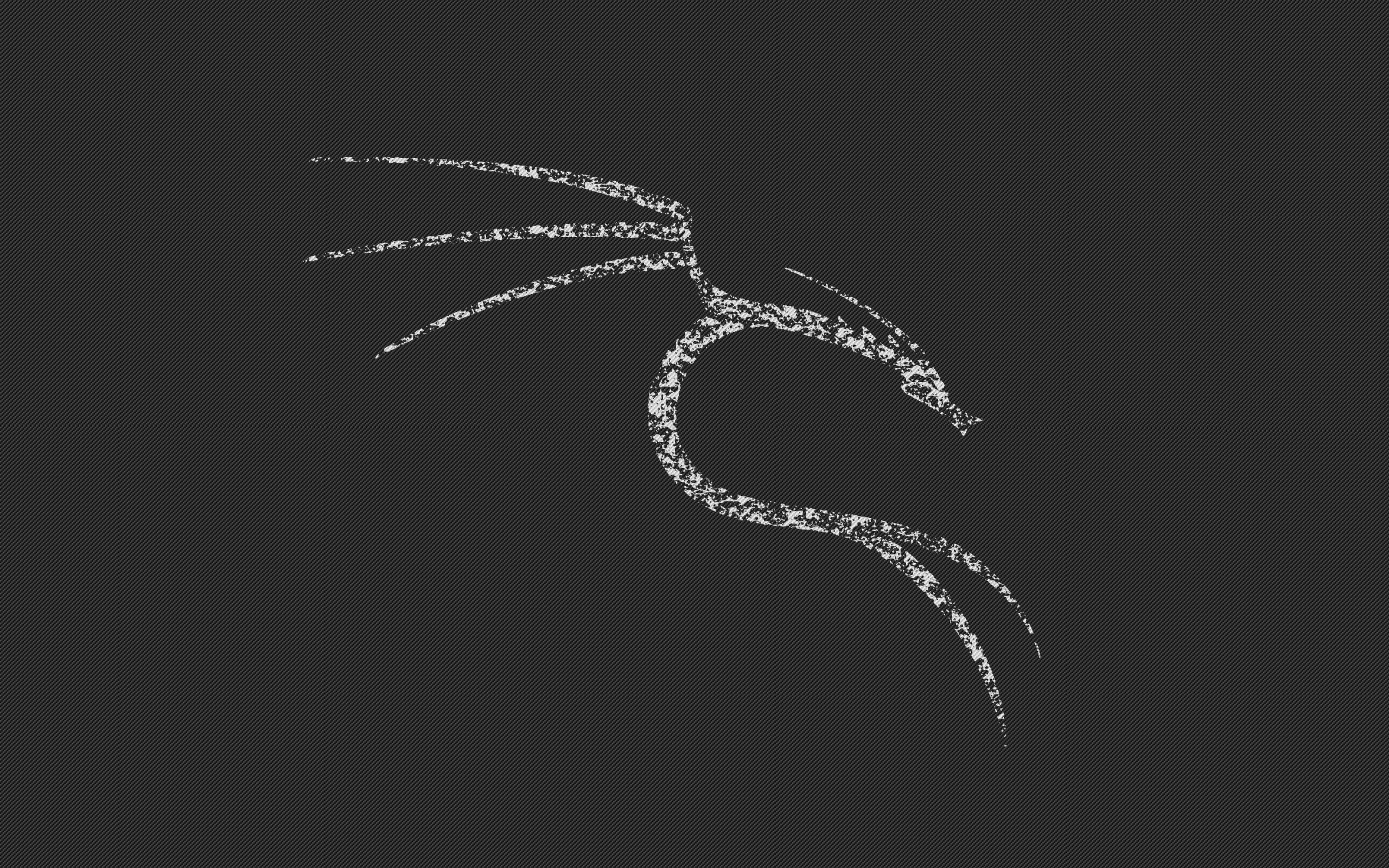 Белый дракон Kali Linux NetHunter