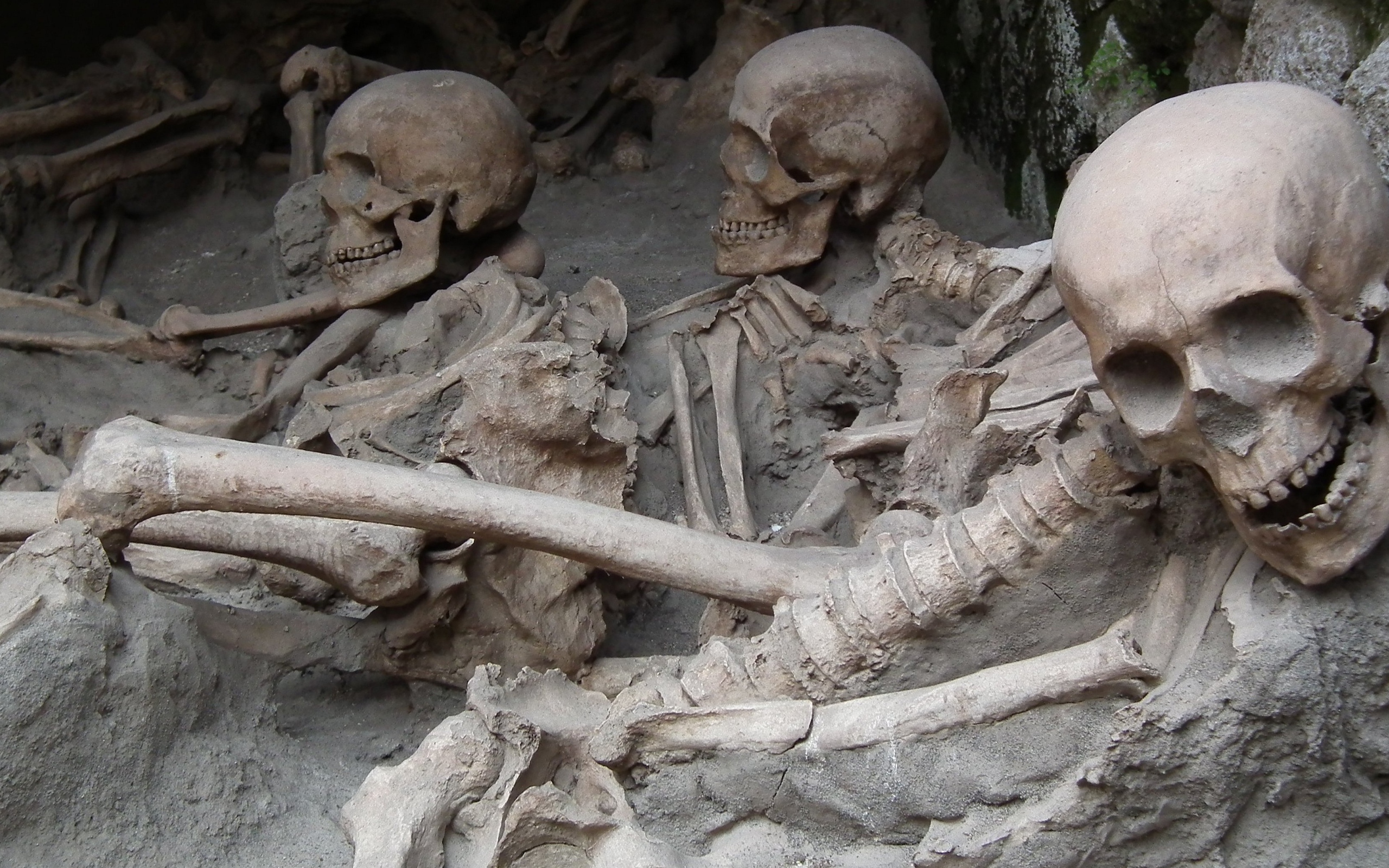 Археологические раскопки древнего захоронения