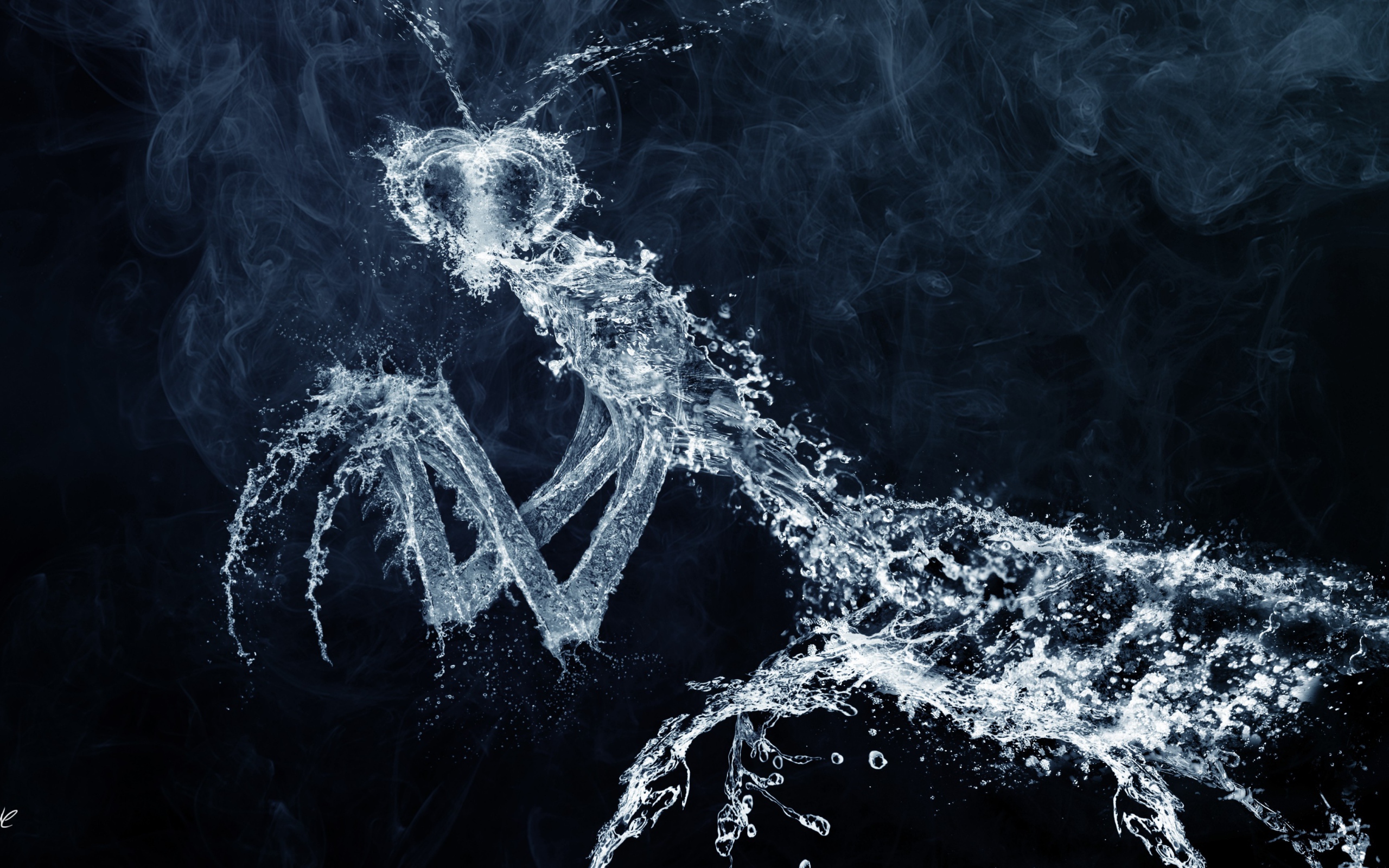 Фигурка богомола из воды