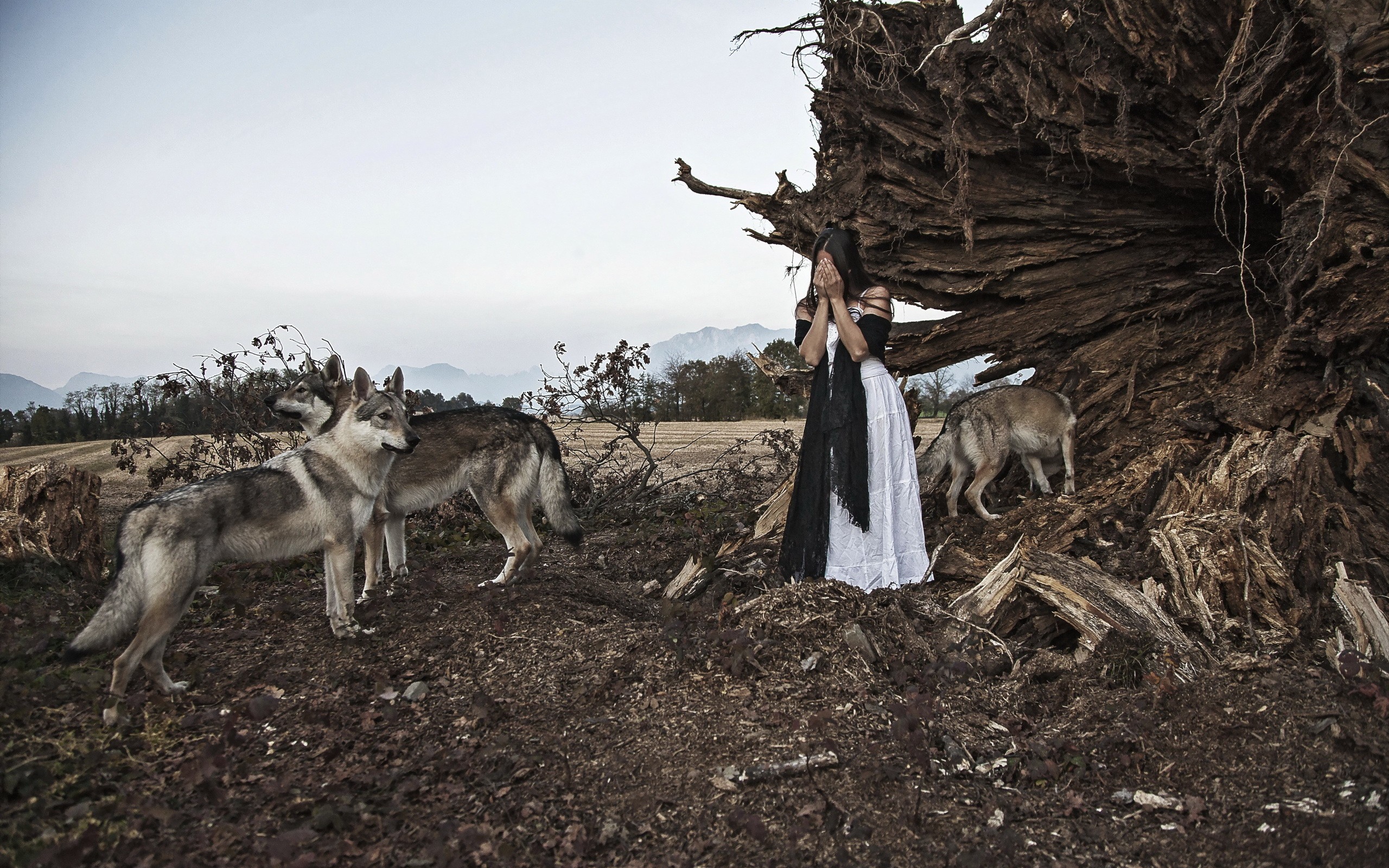 Девушка закрыла лицо в окружении волков