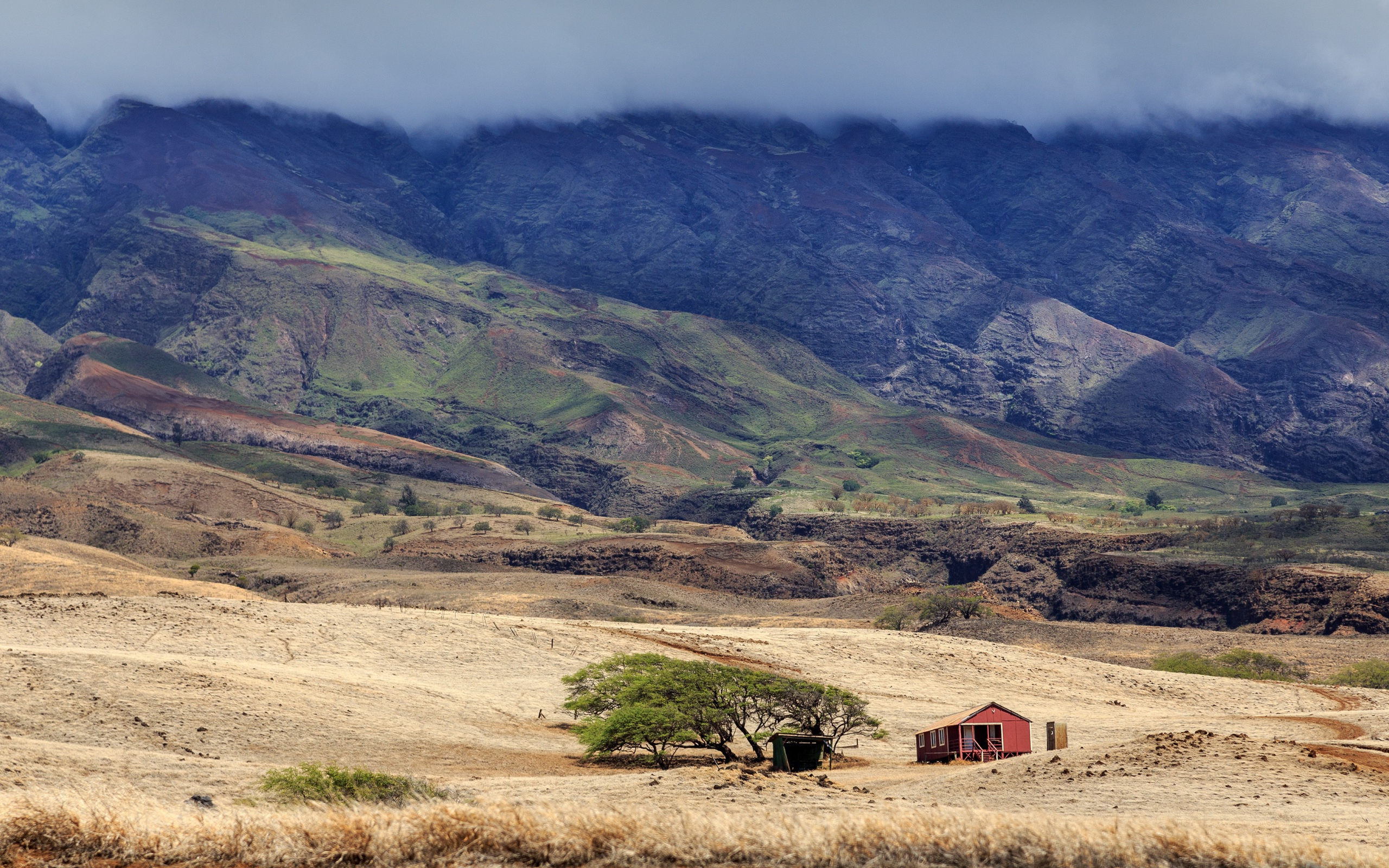 Домик у дерева в пустынной горной местности