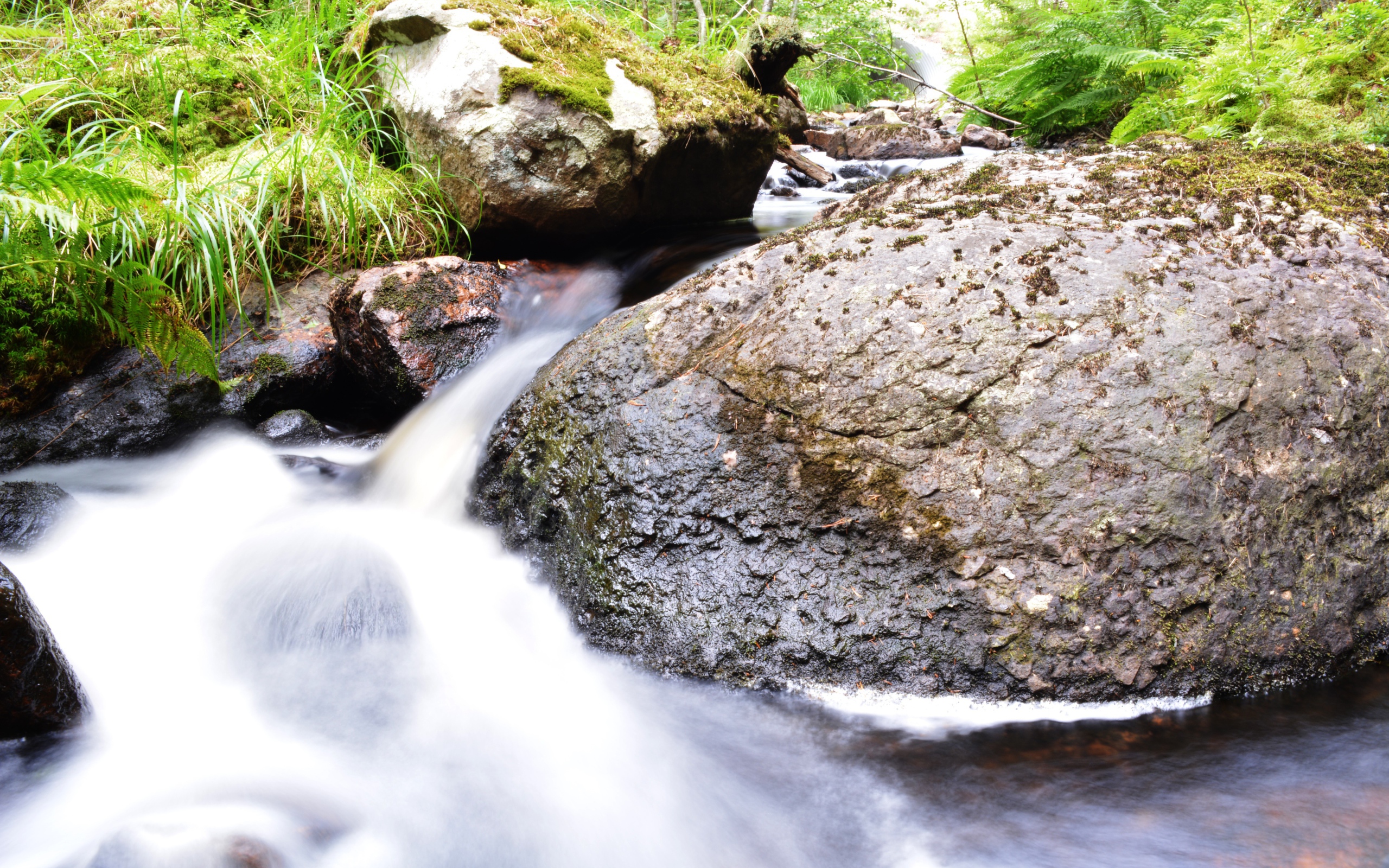Ручей среди покрытых мхом камней