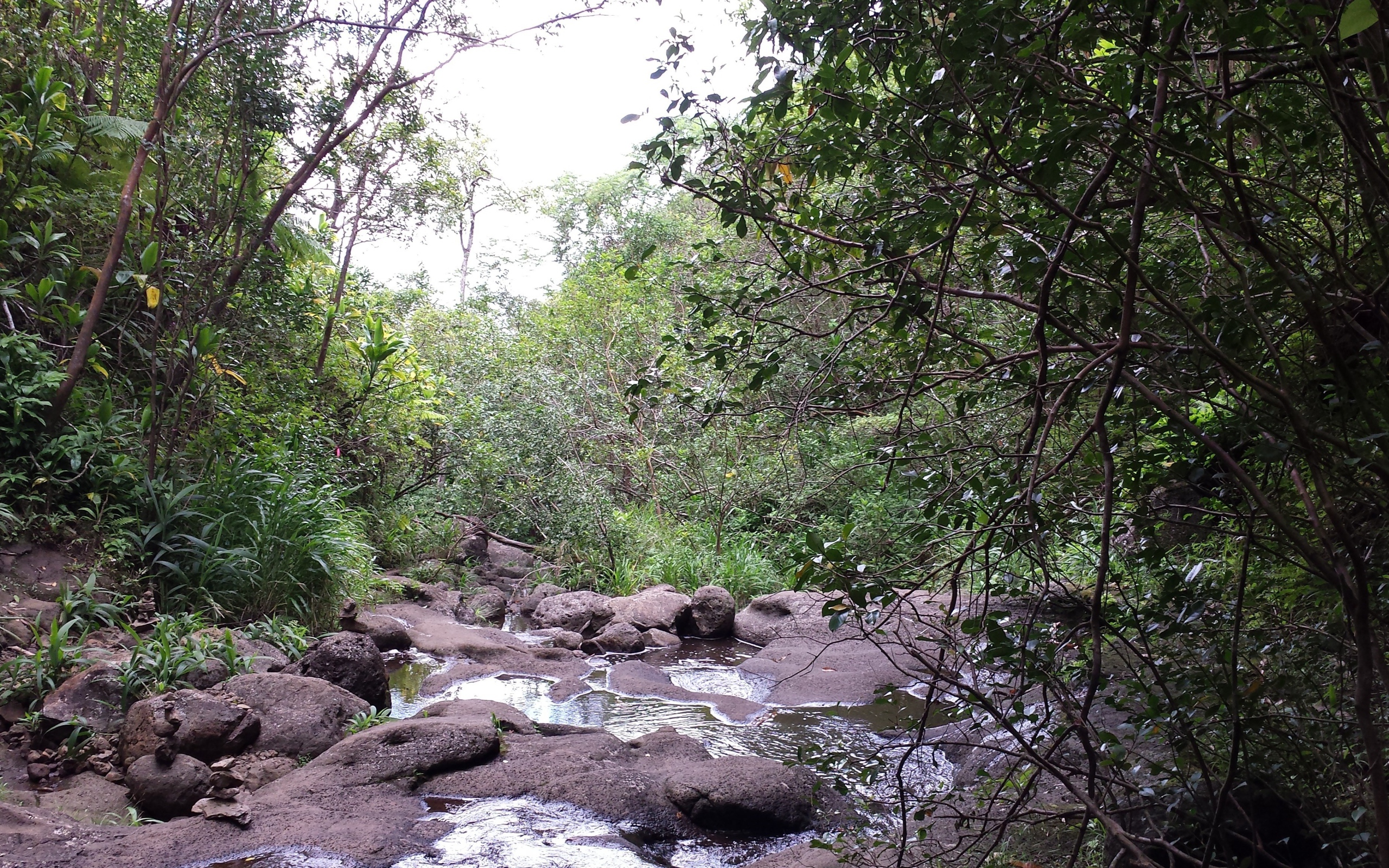 Река в Ka‘Au Crater, Гавайи