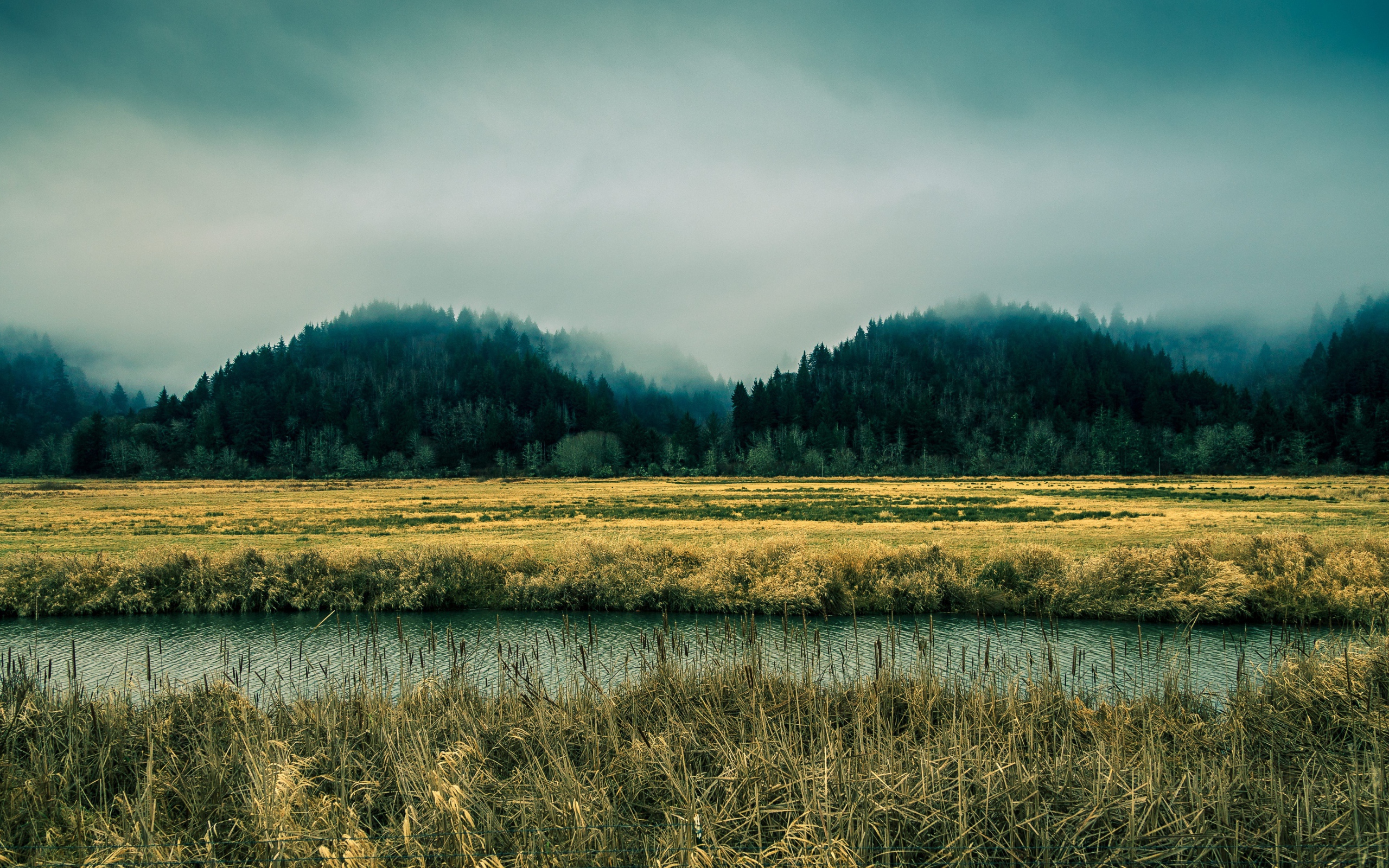 Река в болотистой местности, Орегон