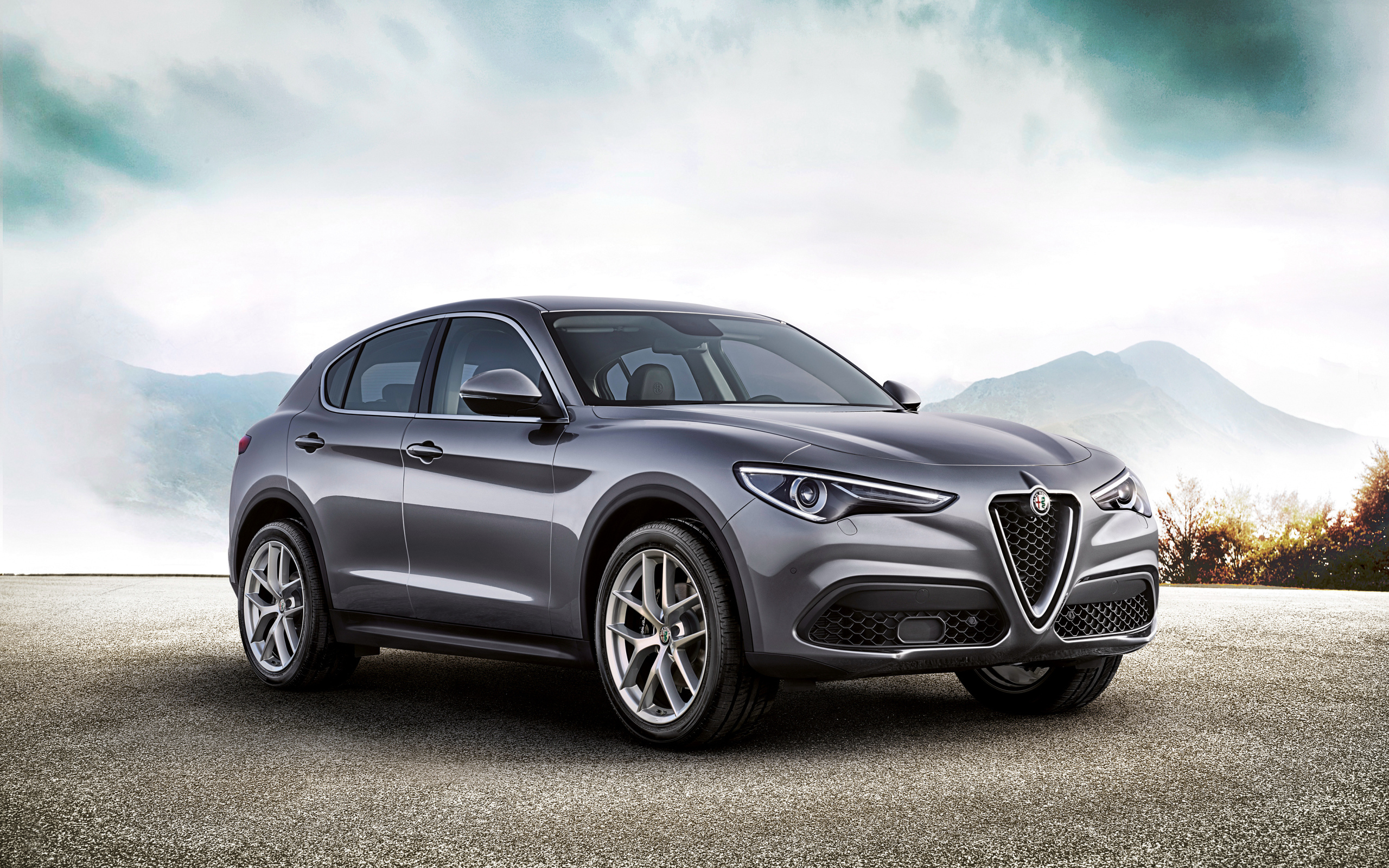 Серый автомобиль Alfa Romeo Stelvio Worldwide, 2017 