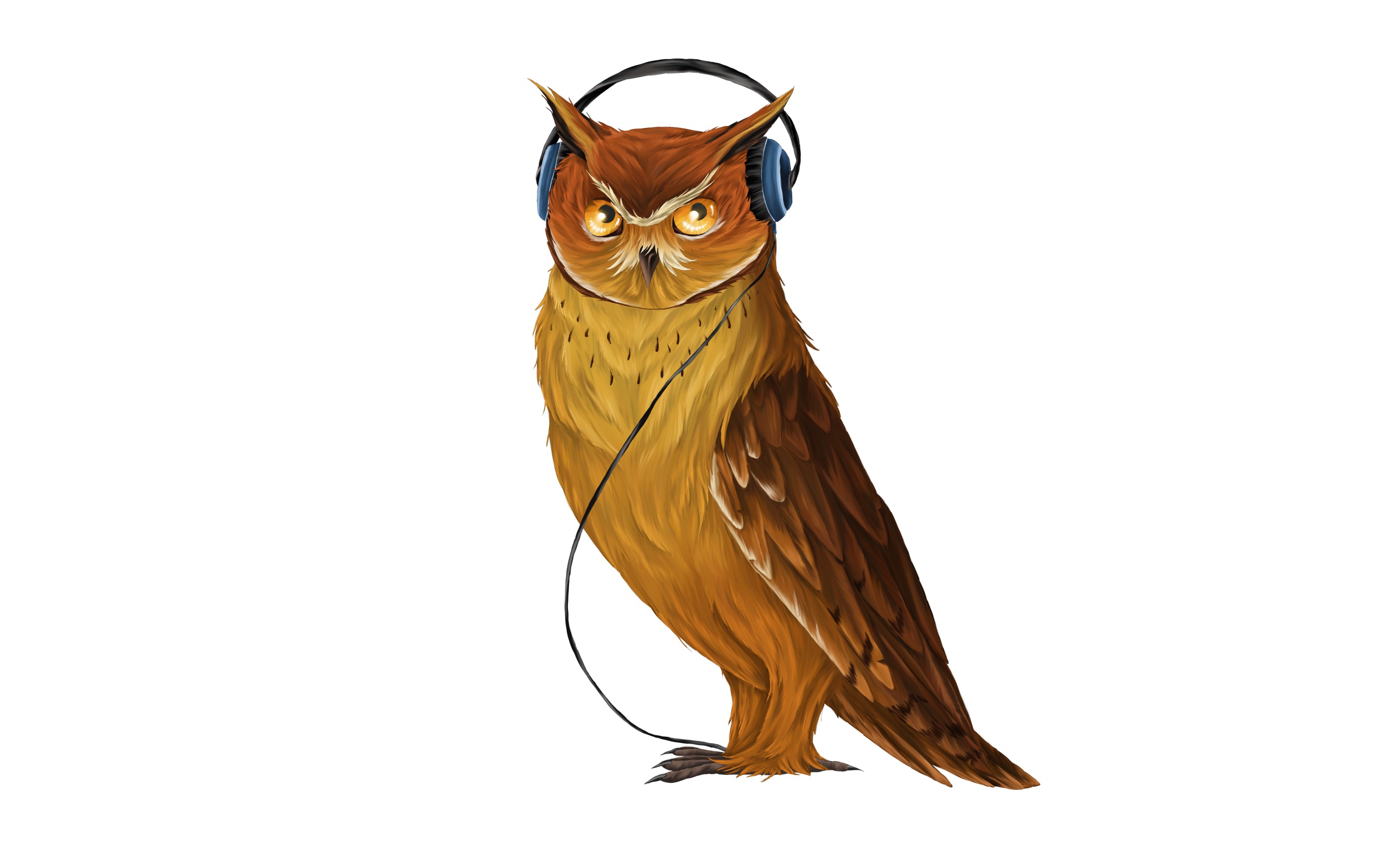 Painted owl in headphones on a white background