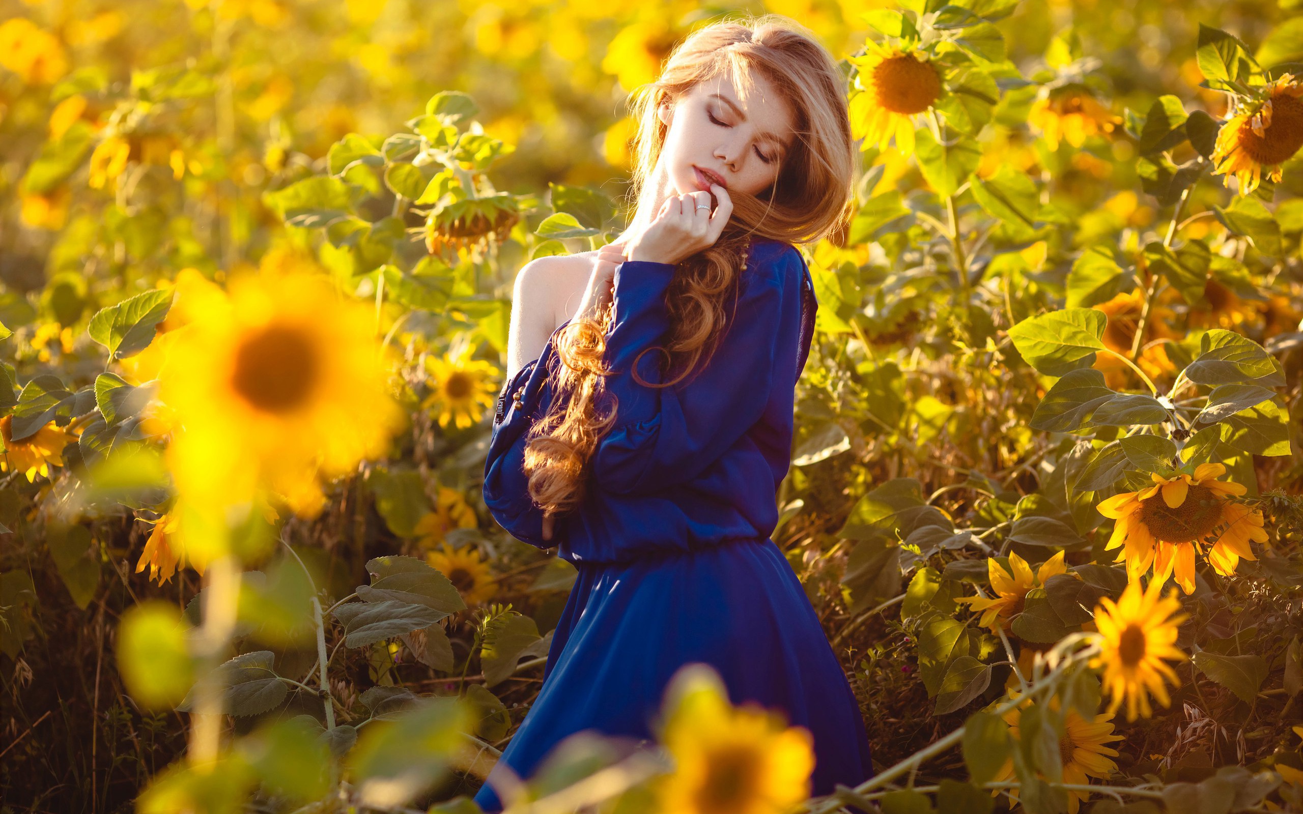 Красивая девушка в голубом платье в поле подсолнухов 