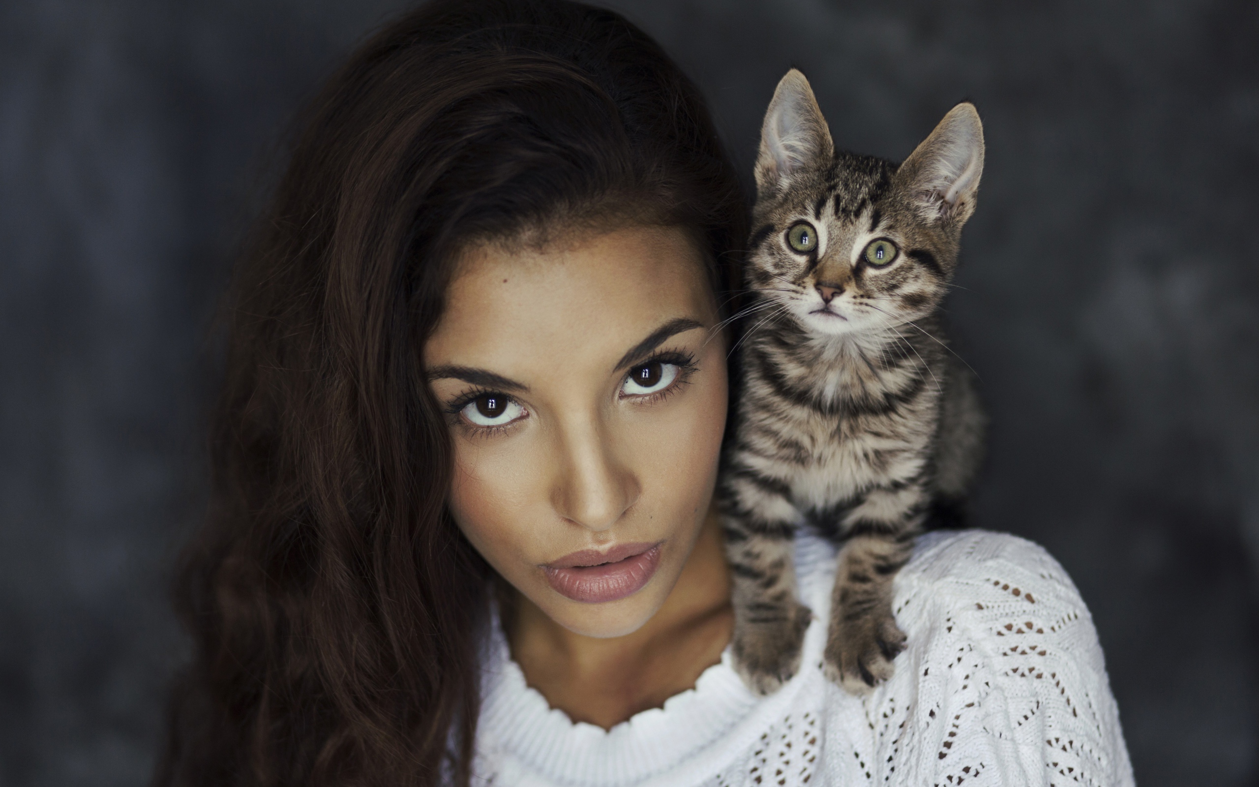 Красивая девушка с серым котенком на плече 