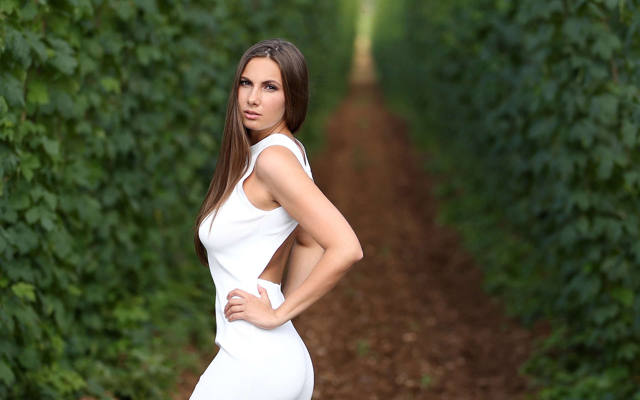 Красивая молодая девушка с длинными волосами в белом платье