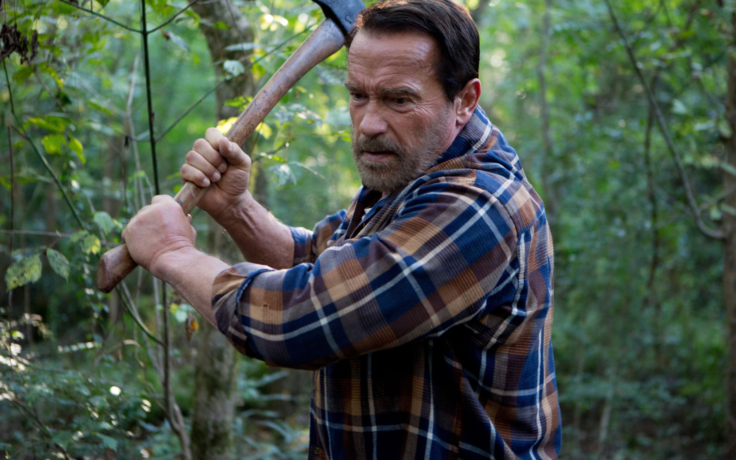 Актер Арнольд Шварценеггер в фильме Последствия, 2017 