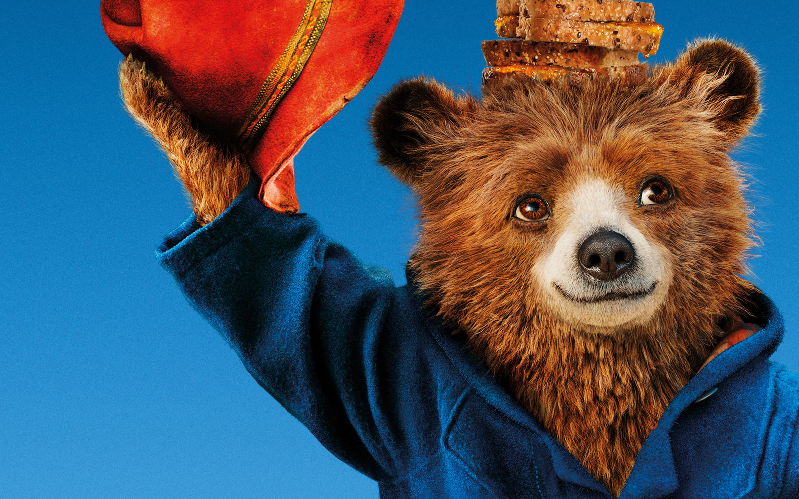 Bear character in the movie The Adventures of Paddington 2, 2017