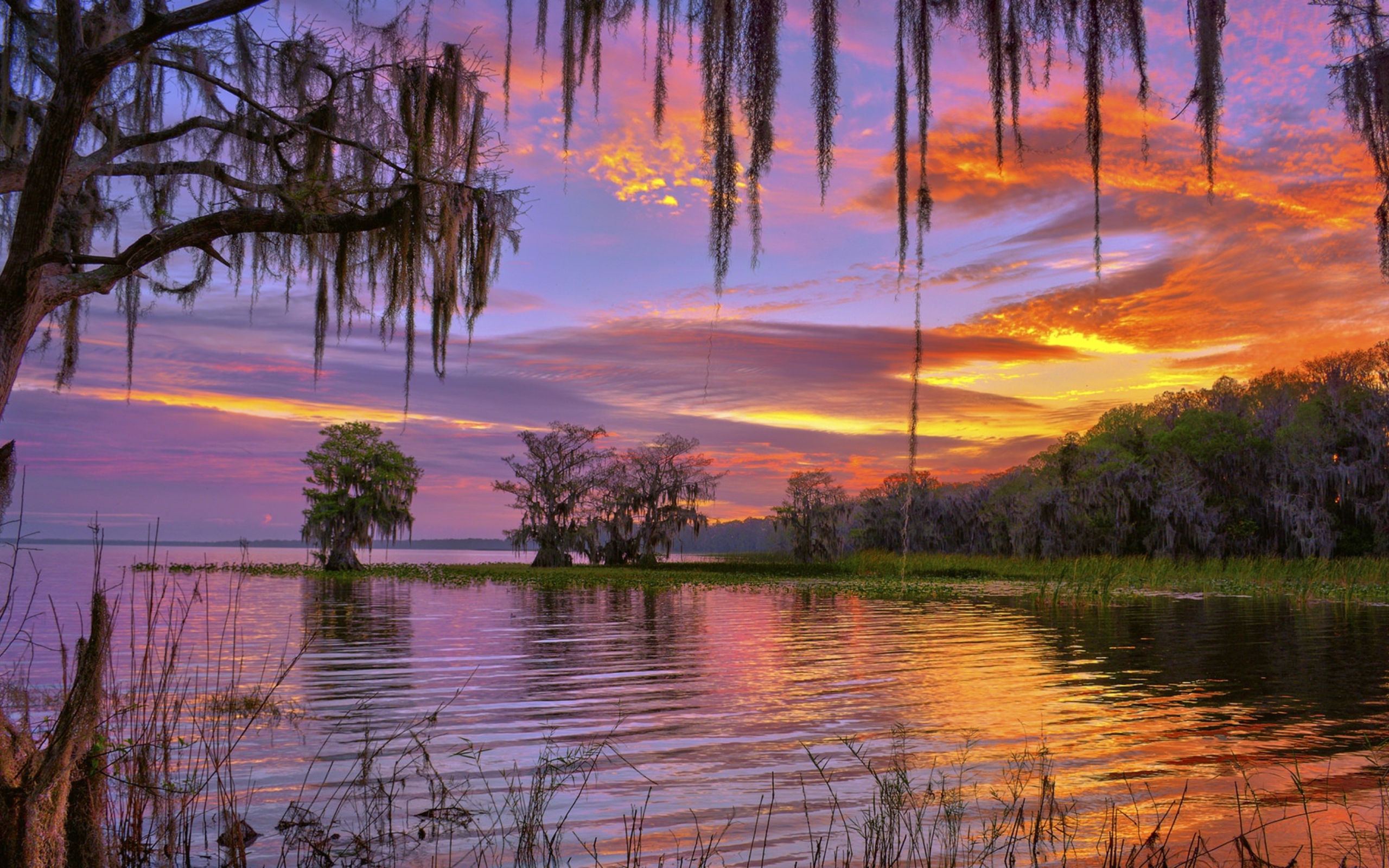 Красивое небо на закате над лесным озером