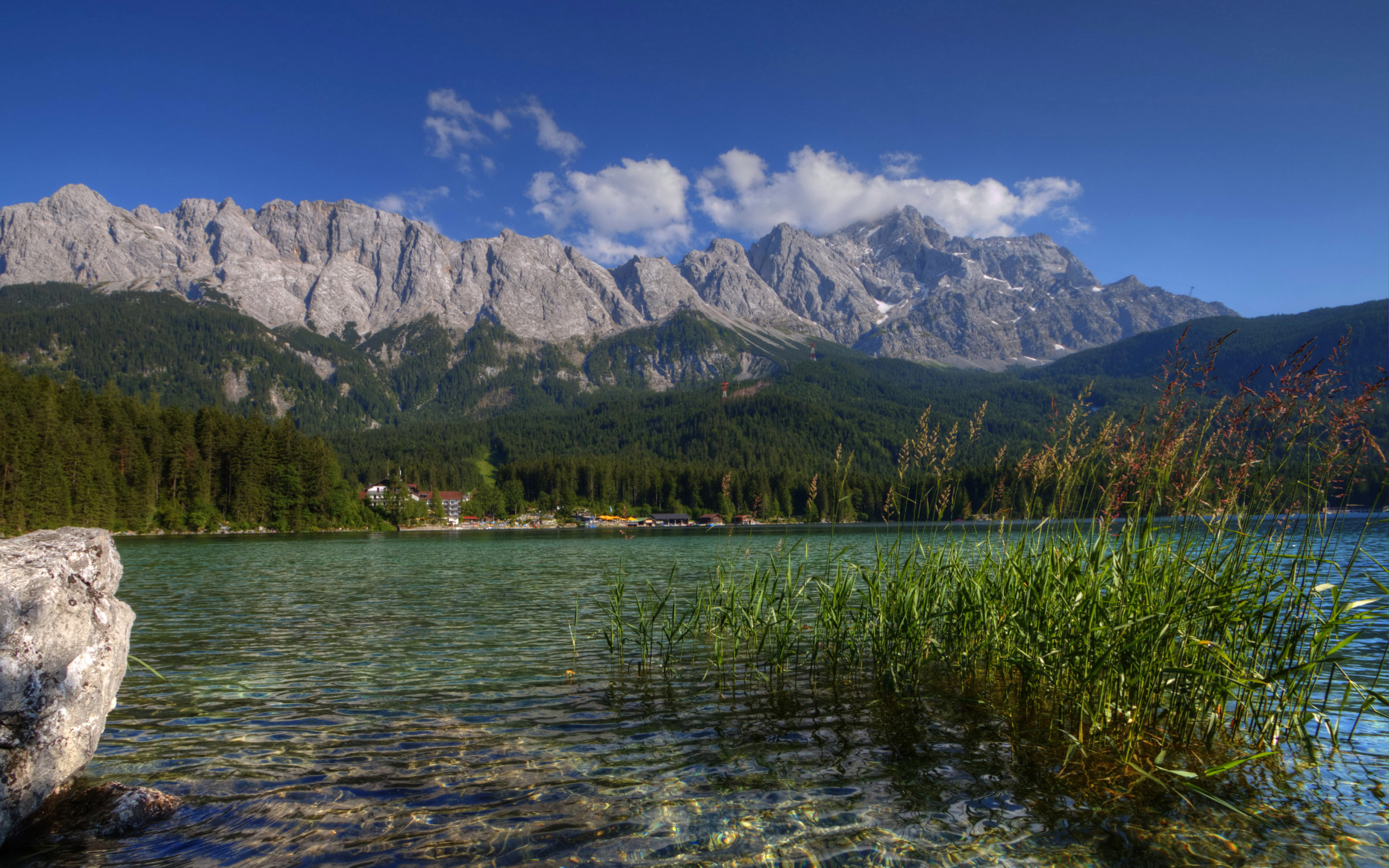 Зеленый лес у горного озера, Германия