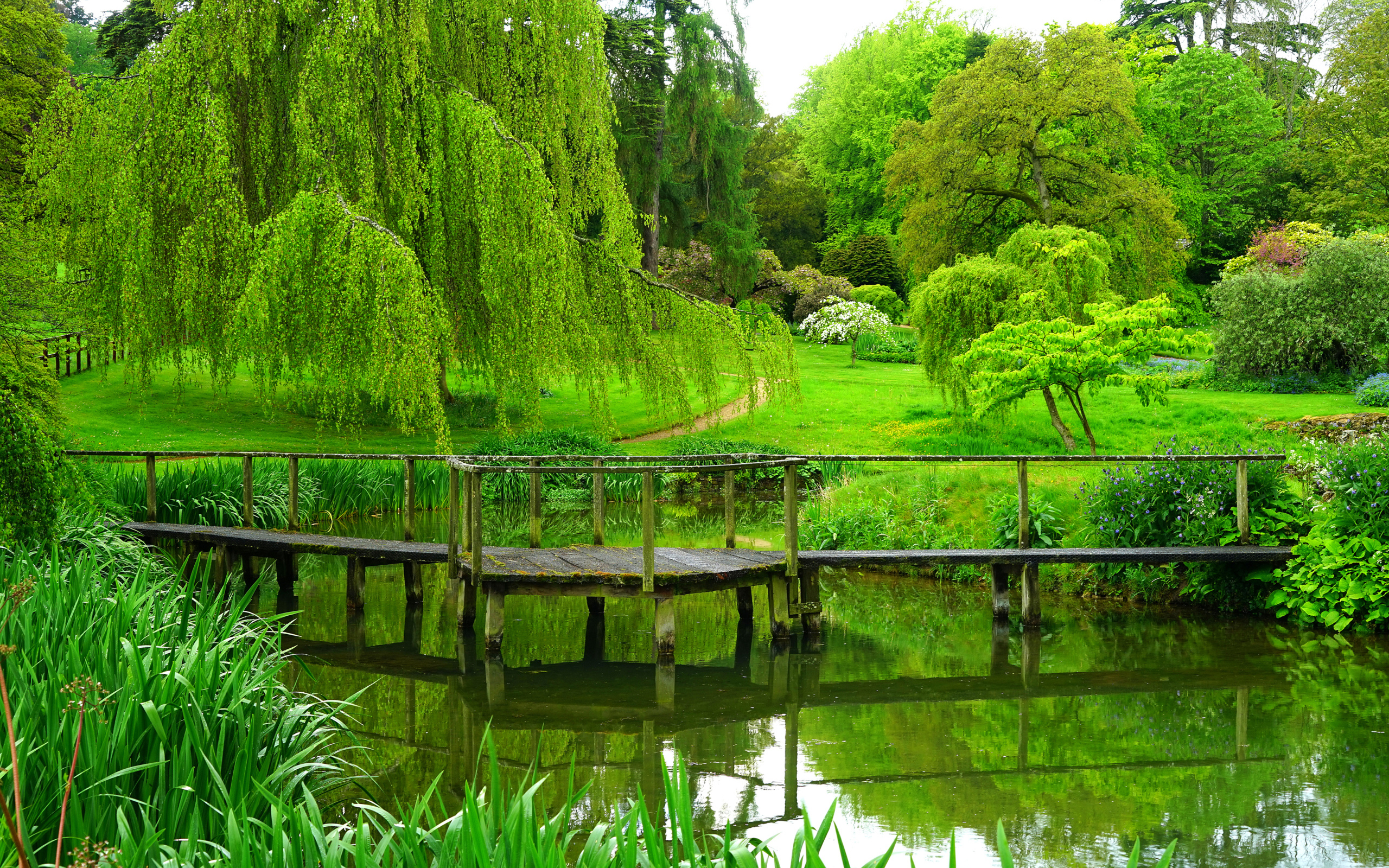 Зеленые деревья над старым мостом у пруда в парке