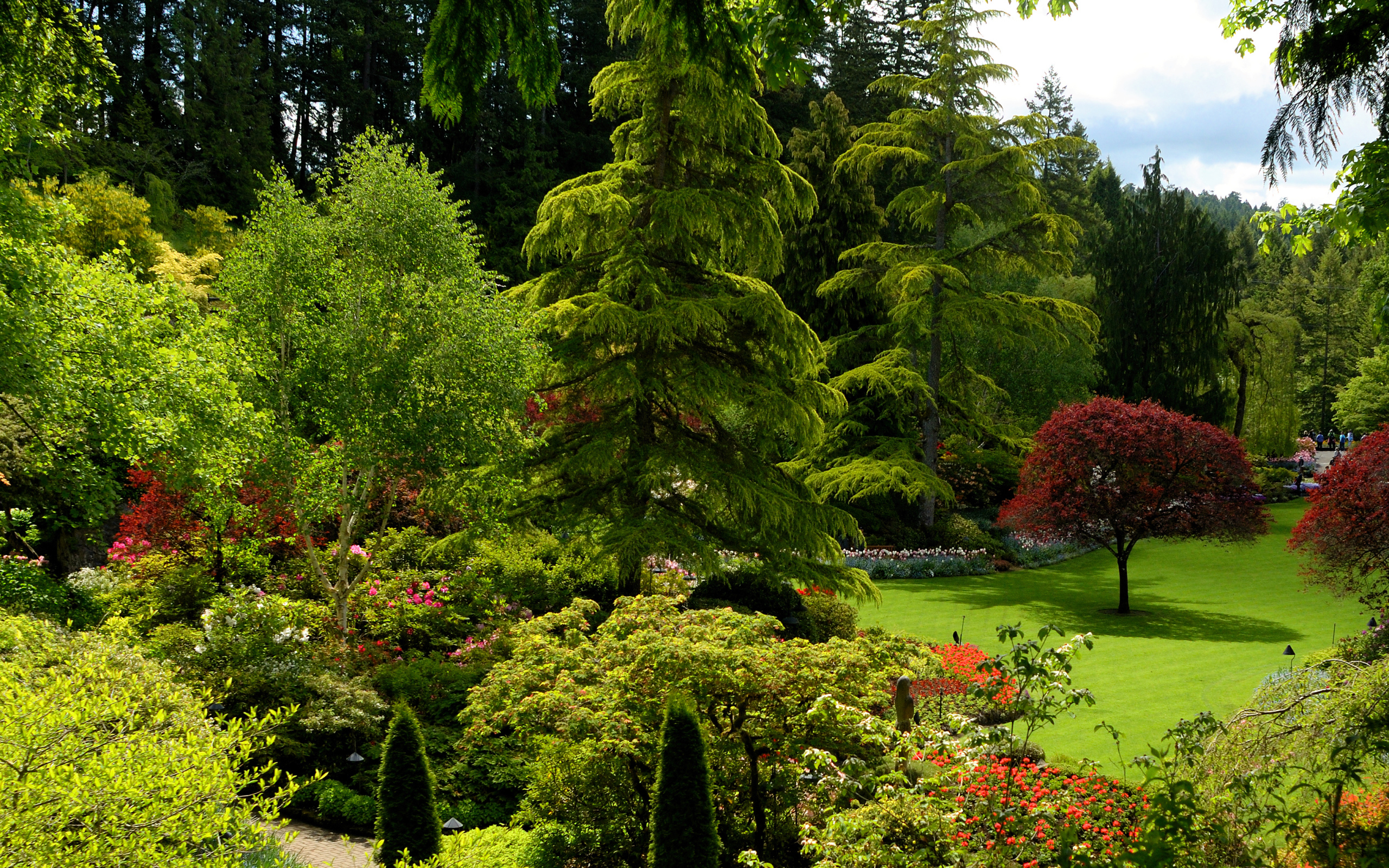 Живописный зеленый парк Канады