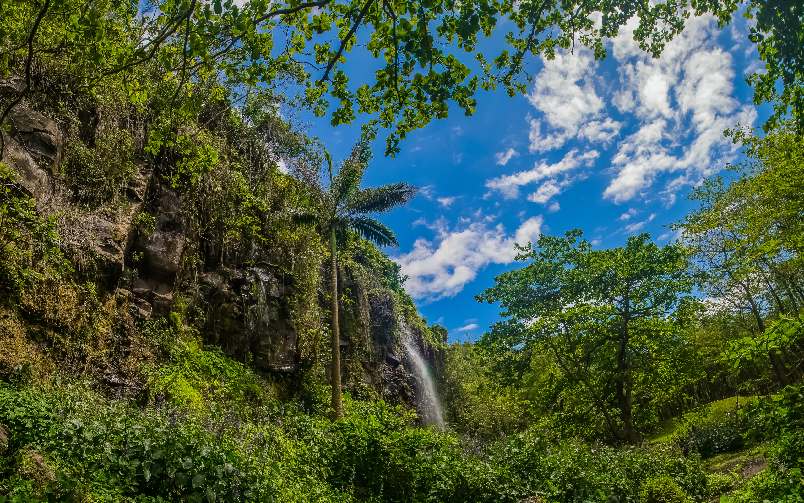 Водопад в тропическом лесу на фоне голубого неба 