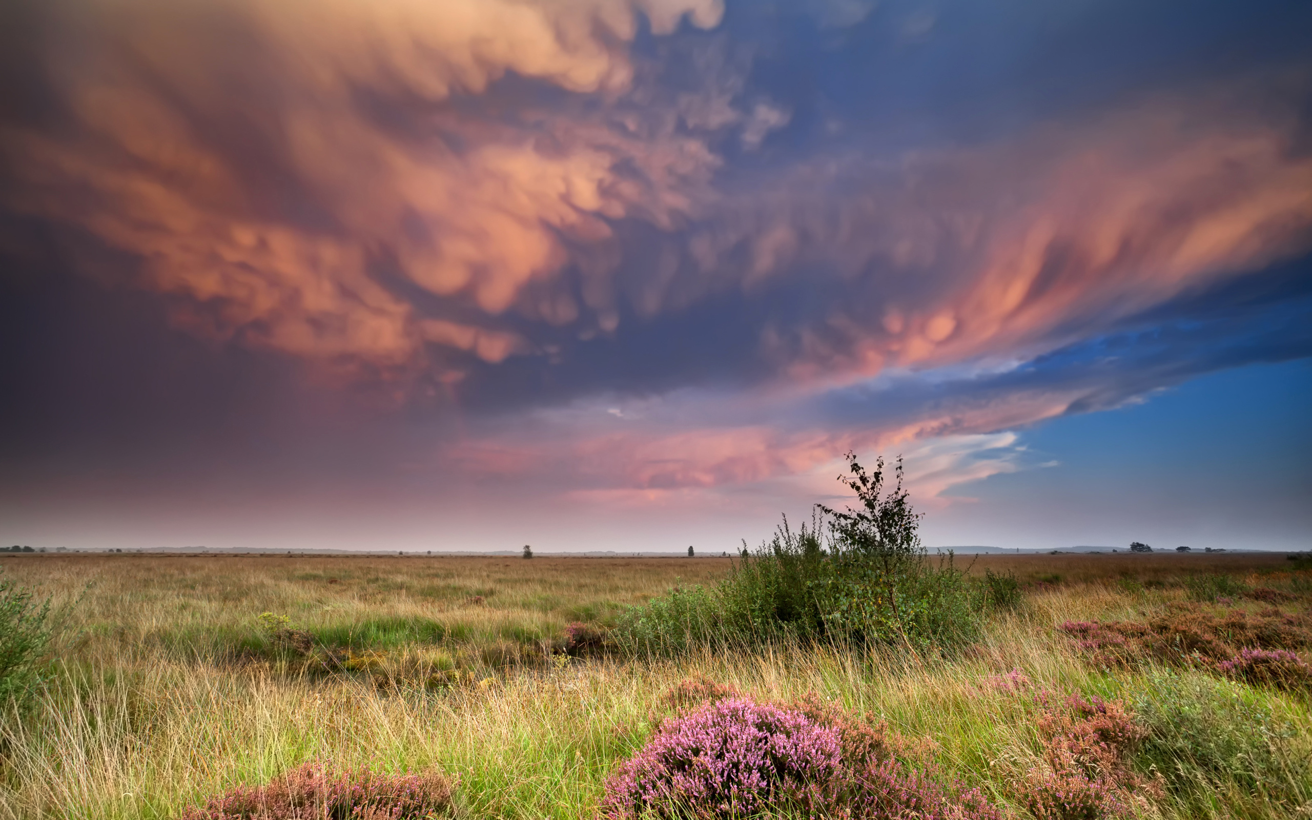 Красивые низкие облака в небе над полем