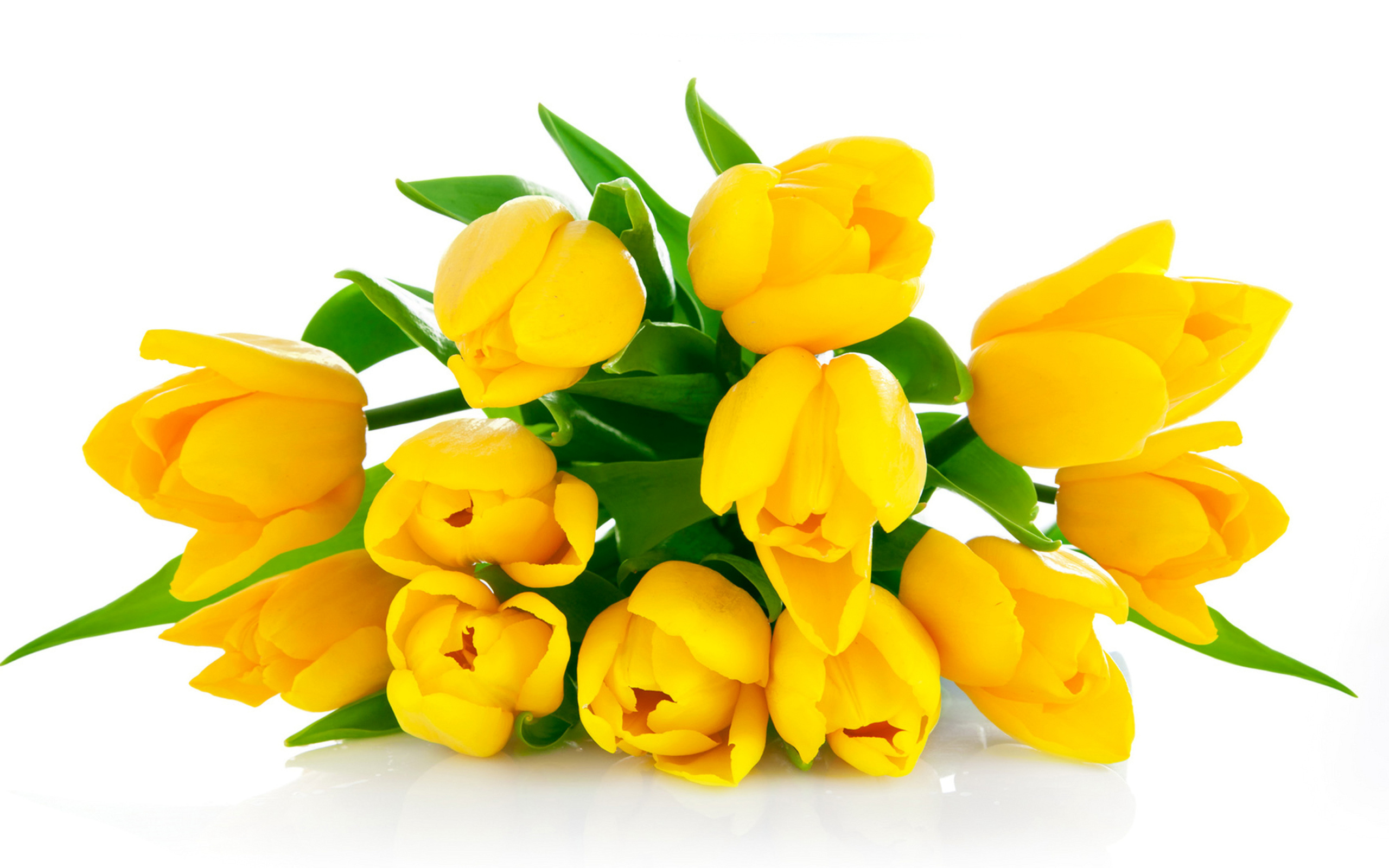 Букет желтых тюльпанов на белом фоне