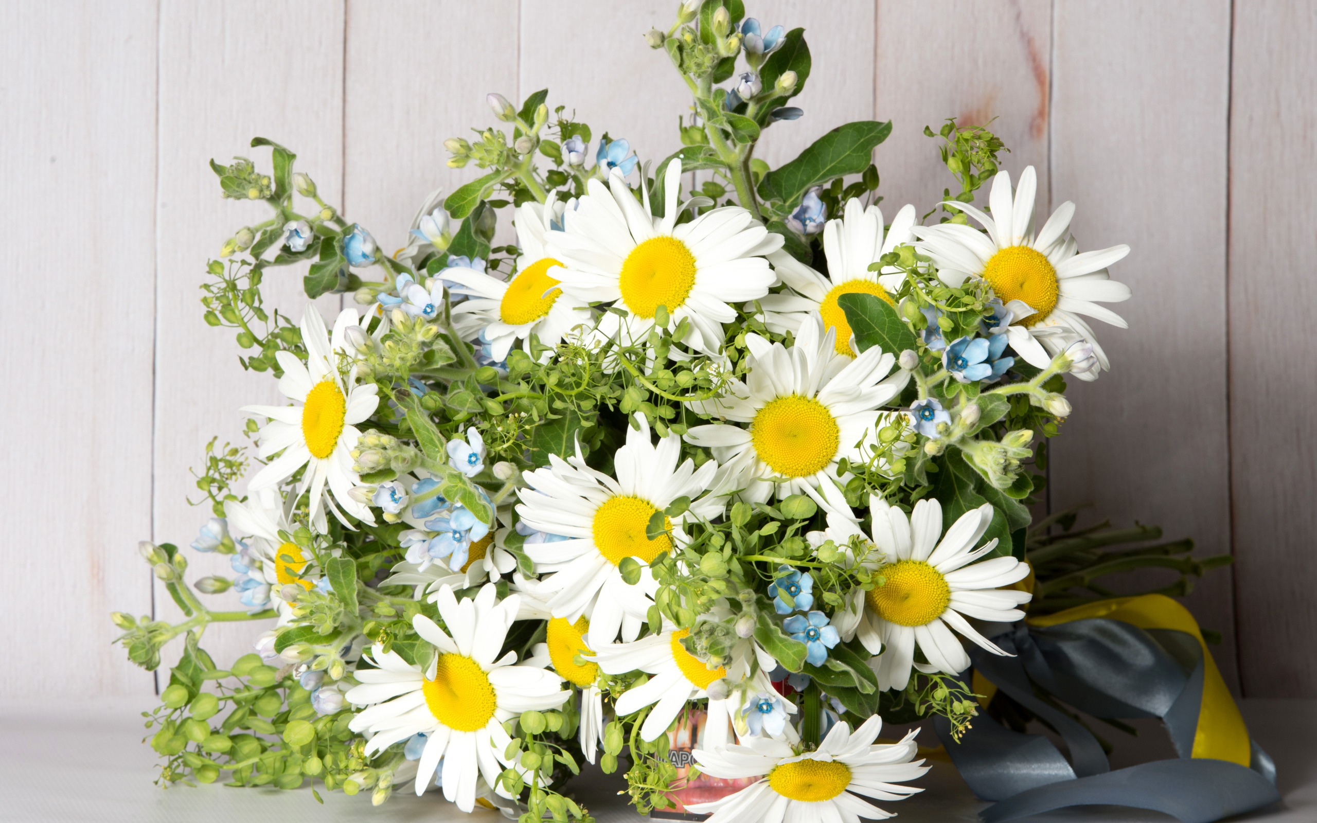 Букет полевых ромашек перевязанный лентой