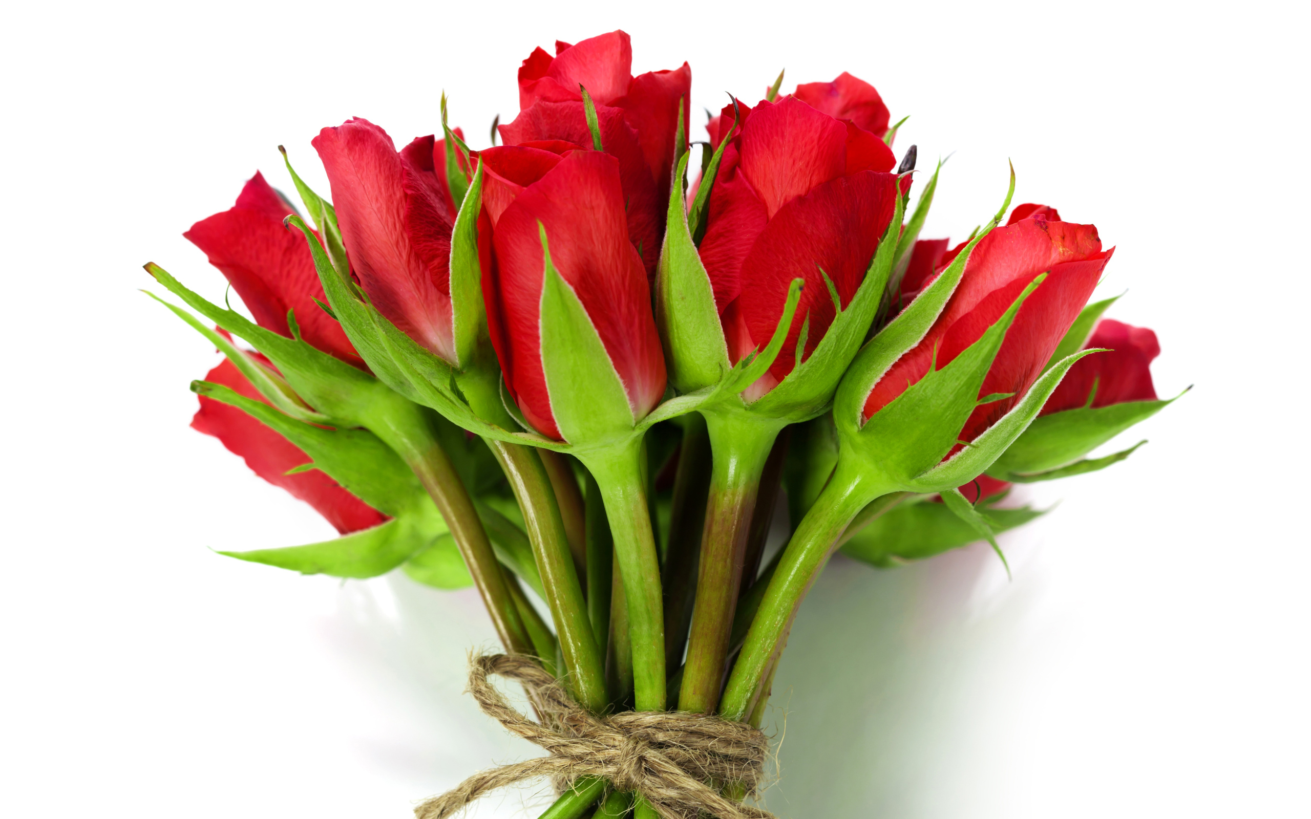 Букет красных роз перевязан веревкой на белом фоне