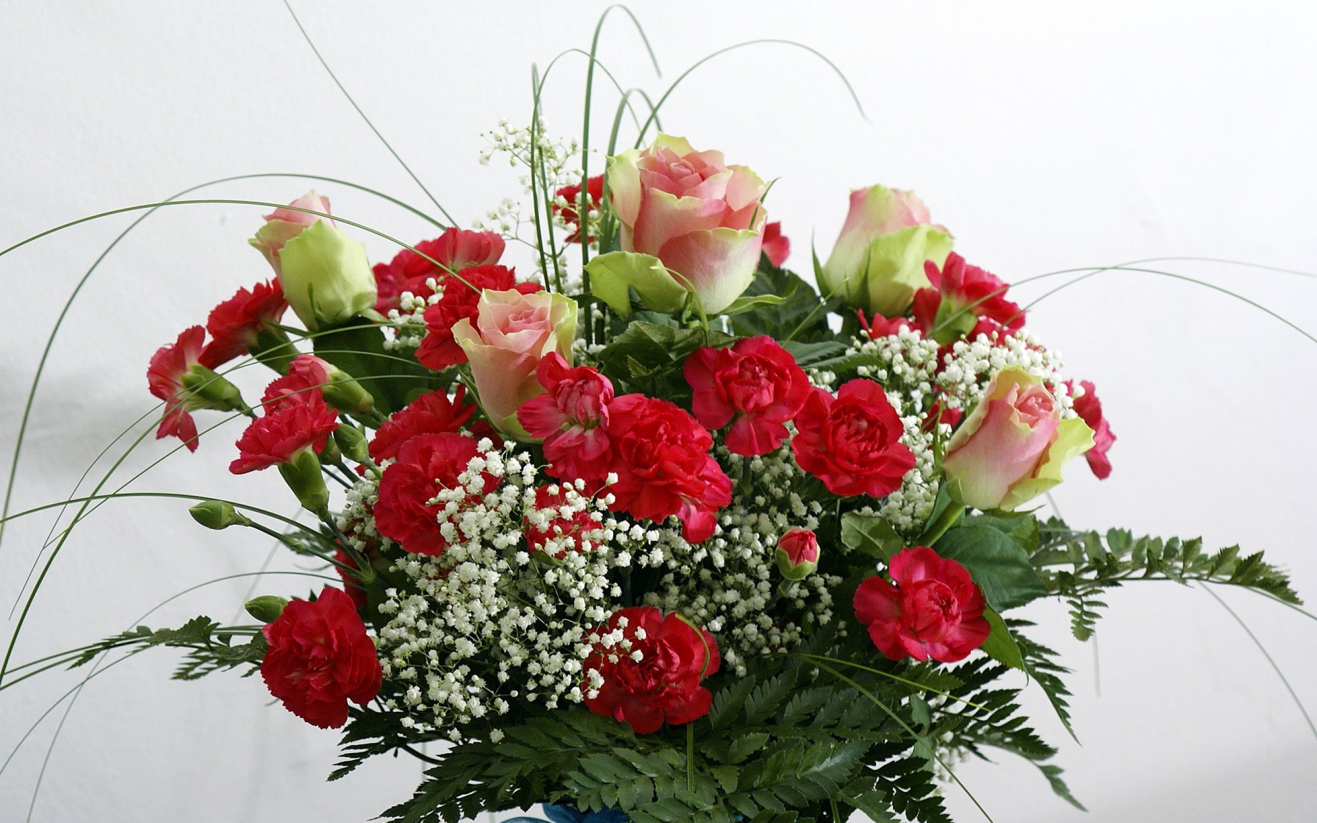 Букет роз с гвоздиками и зеленью на белом фоне