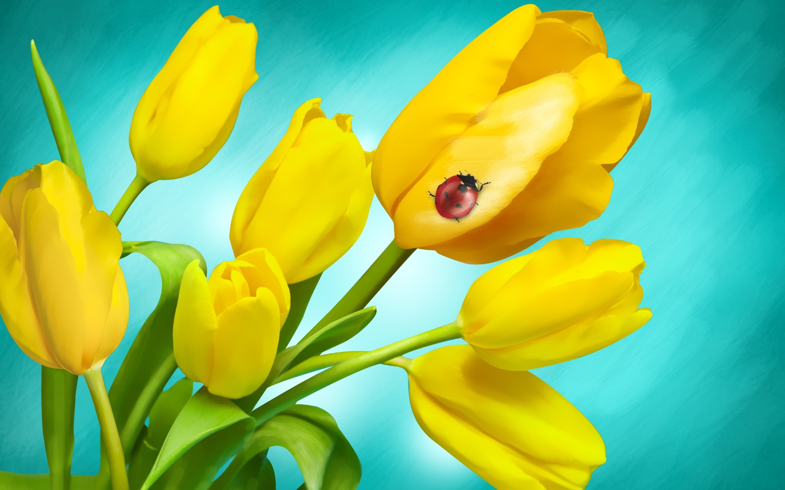 Букет желтых тюльпанов с божьей коровкой на голубом фоне