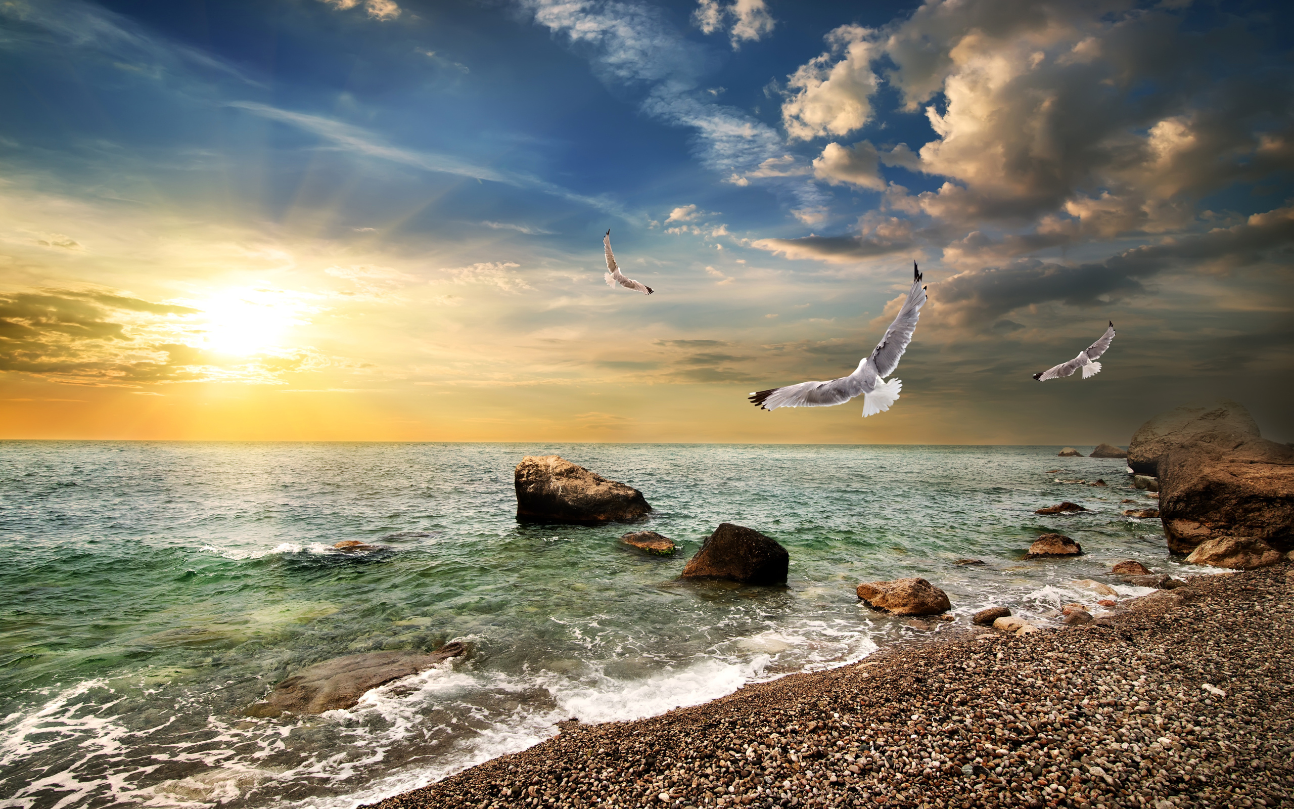 Seagulls fly over the seashore at sunset