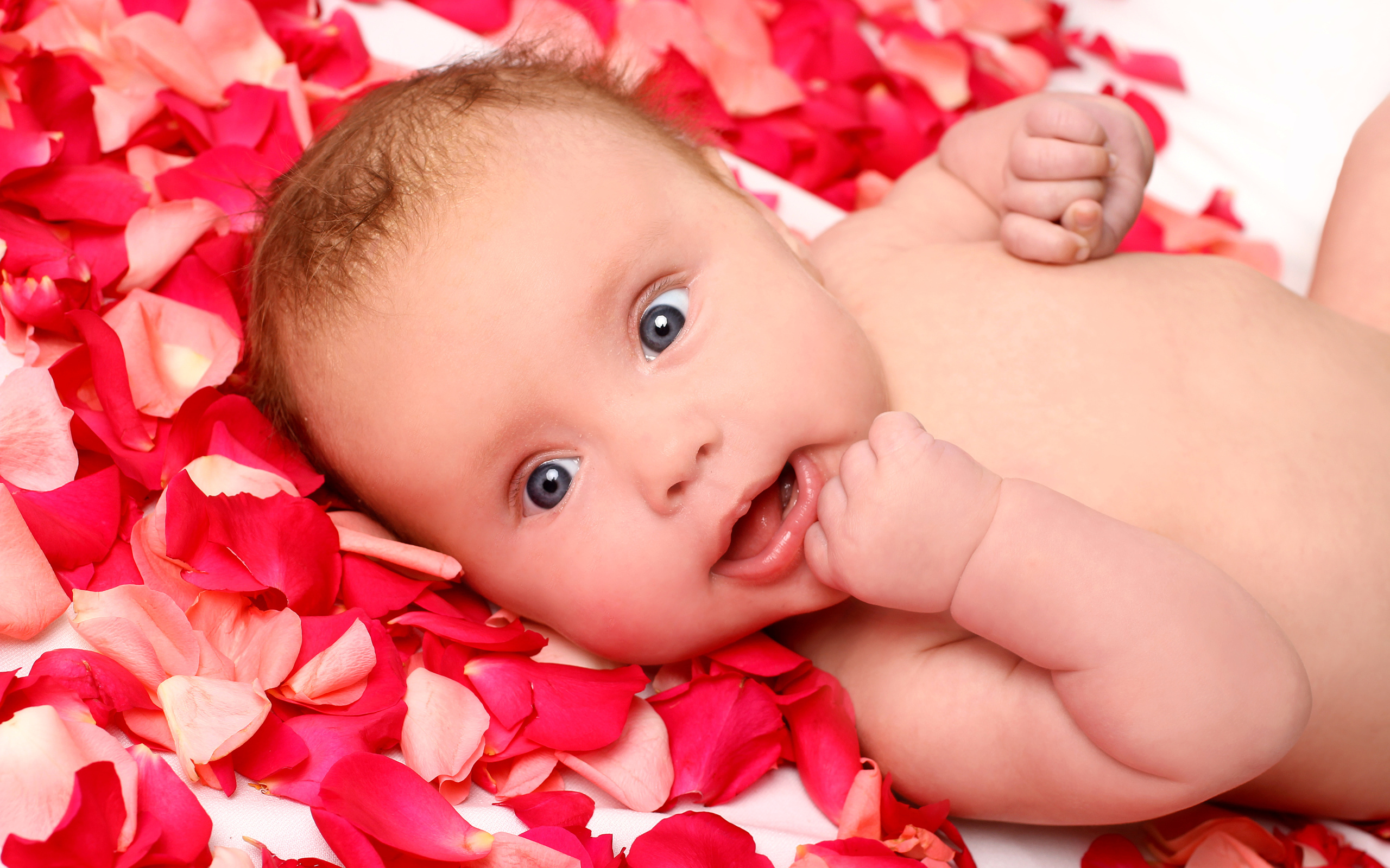 Грудной ребенок лежит на лепестках красной розы