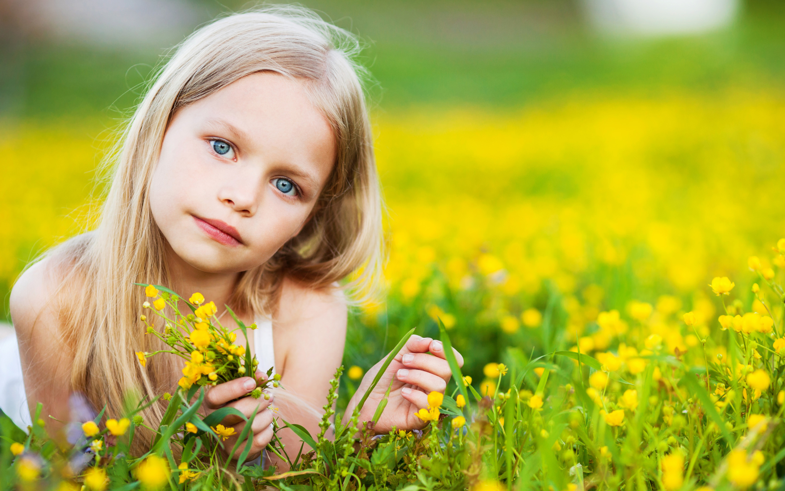 Красивая голубоглазая девочка лежит на желтых полевых цветах