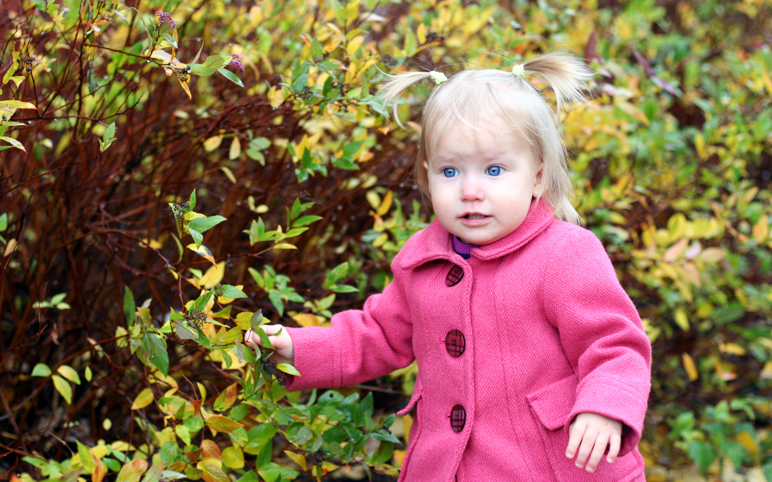 Маленькая голубоглазая девочка в розовом пальто