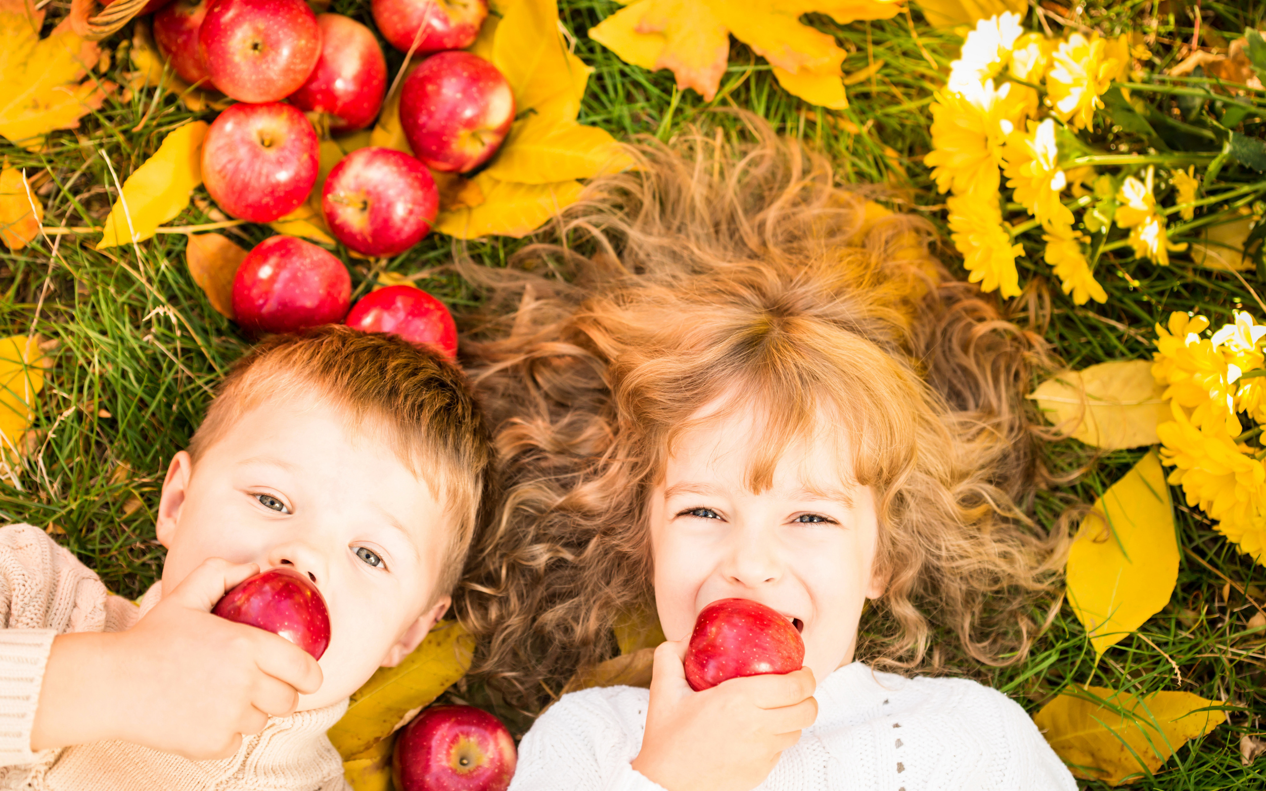 Маленькие мальчик и девочка лежат на желтой листве с красными яблоками