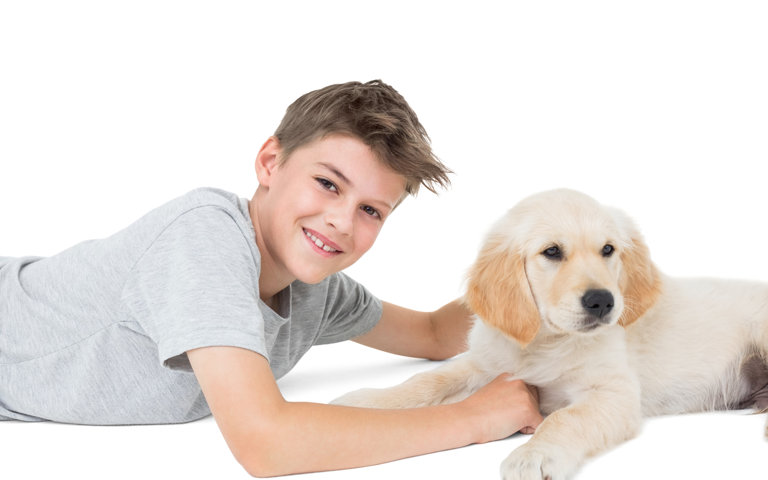 Маленький мальчик с щенком ретривера на белом фоне