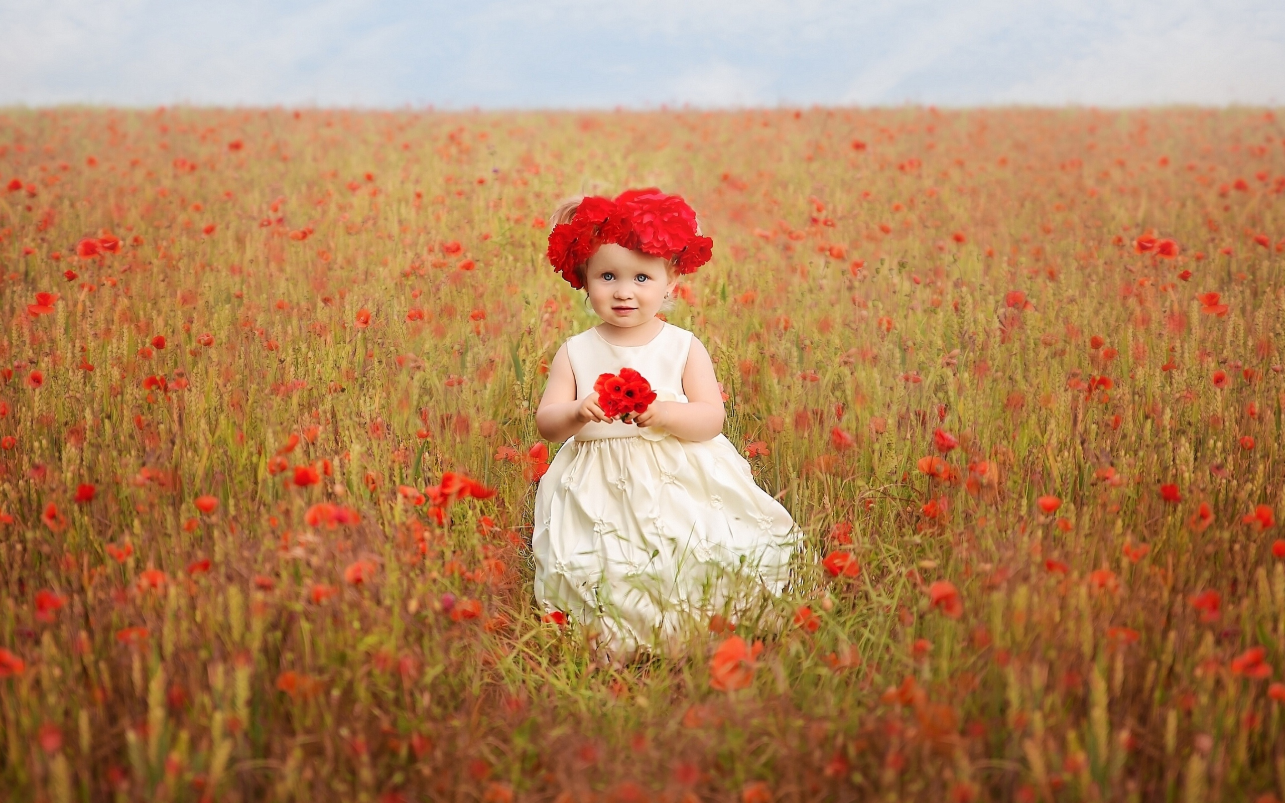 Маленькая девочка в поле красных маков 