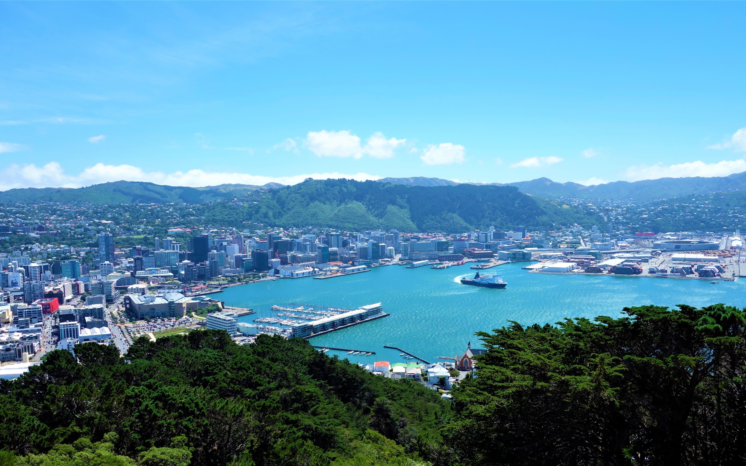 Панорама города Веллингтон, Новая Зеландия 