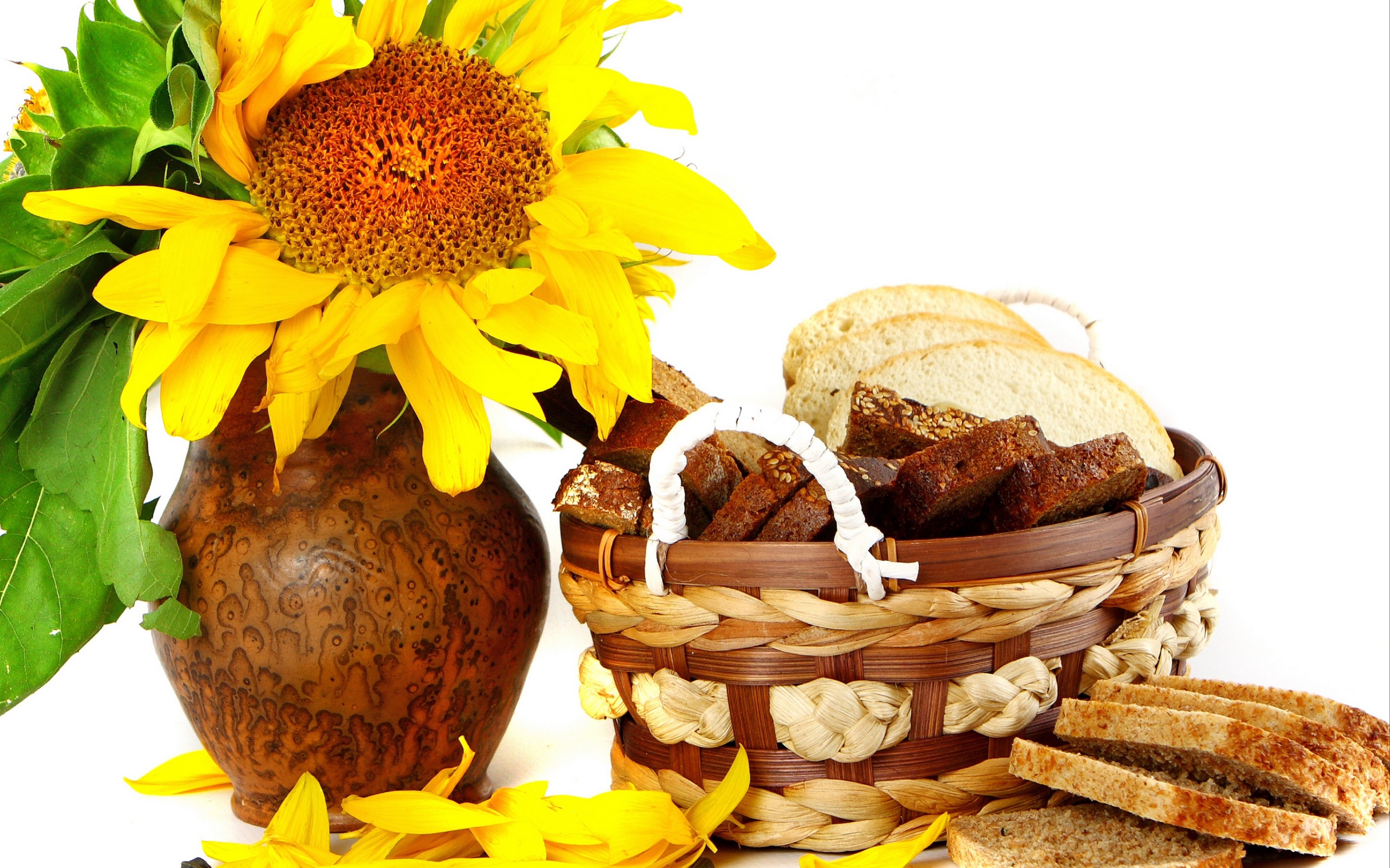 Цветок подсолнуха в кувшине на столе с корзиной с хлебом на белом фоне