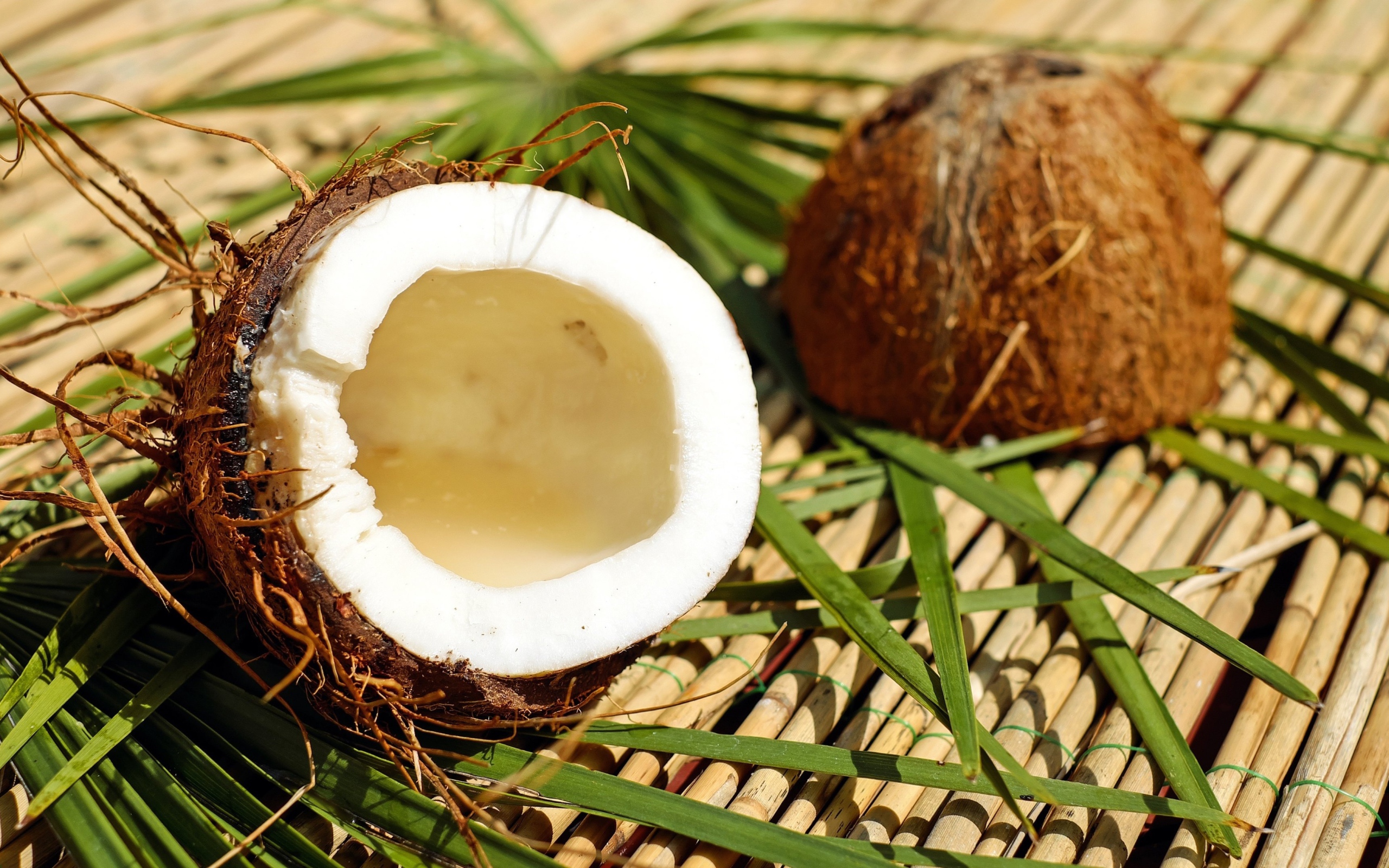 Разбитый кокос лежит на зеленых пальмовых листьях